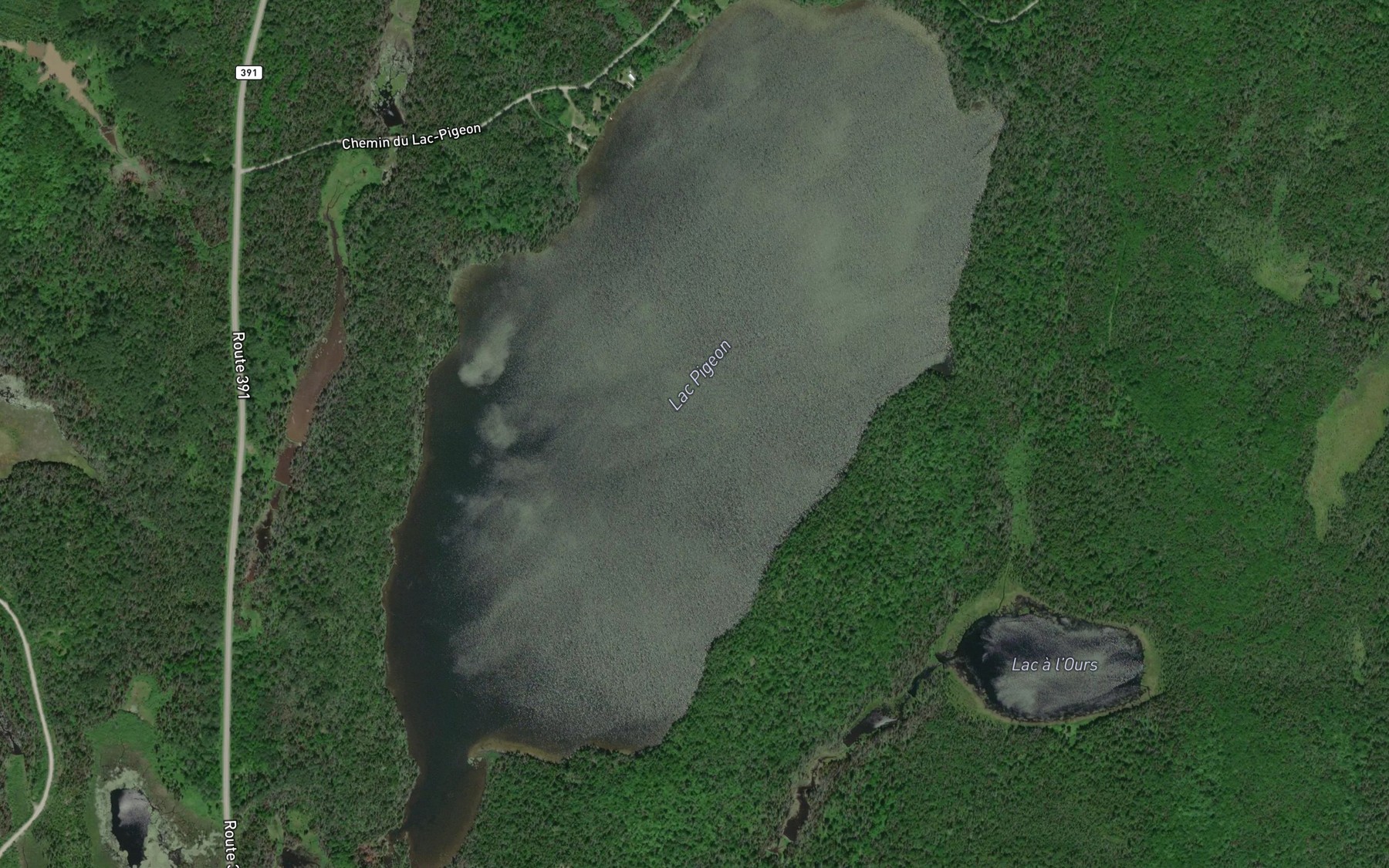 Satellite map of the Lac Pigeon
