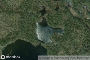 Potemuujavrluobbaliih