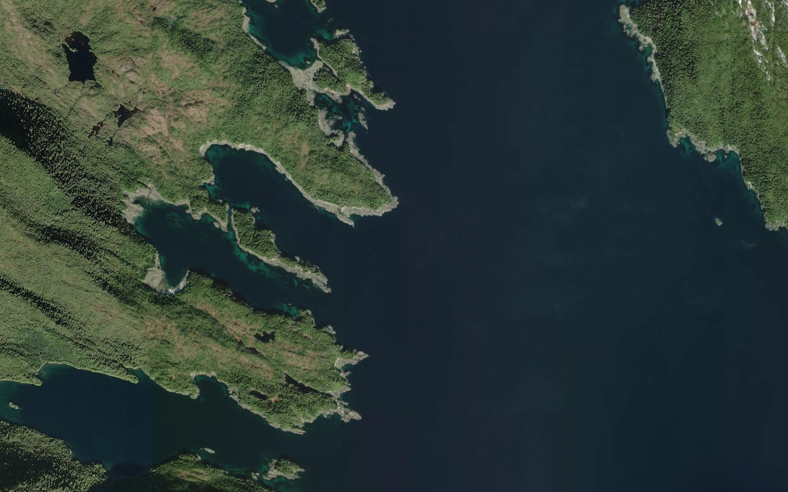 Kaigani Harbors