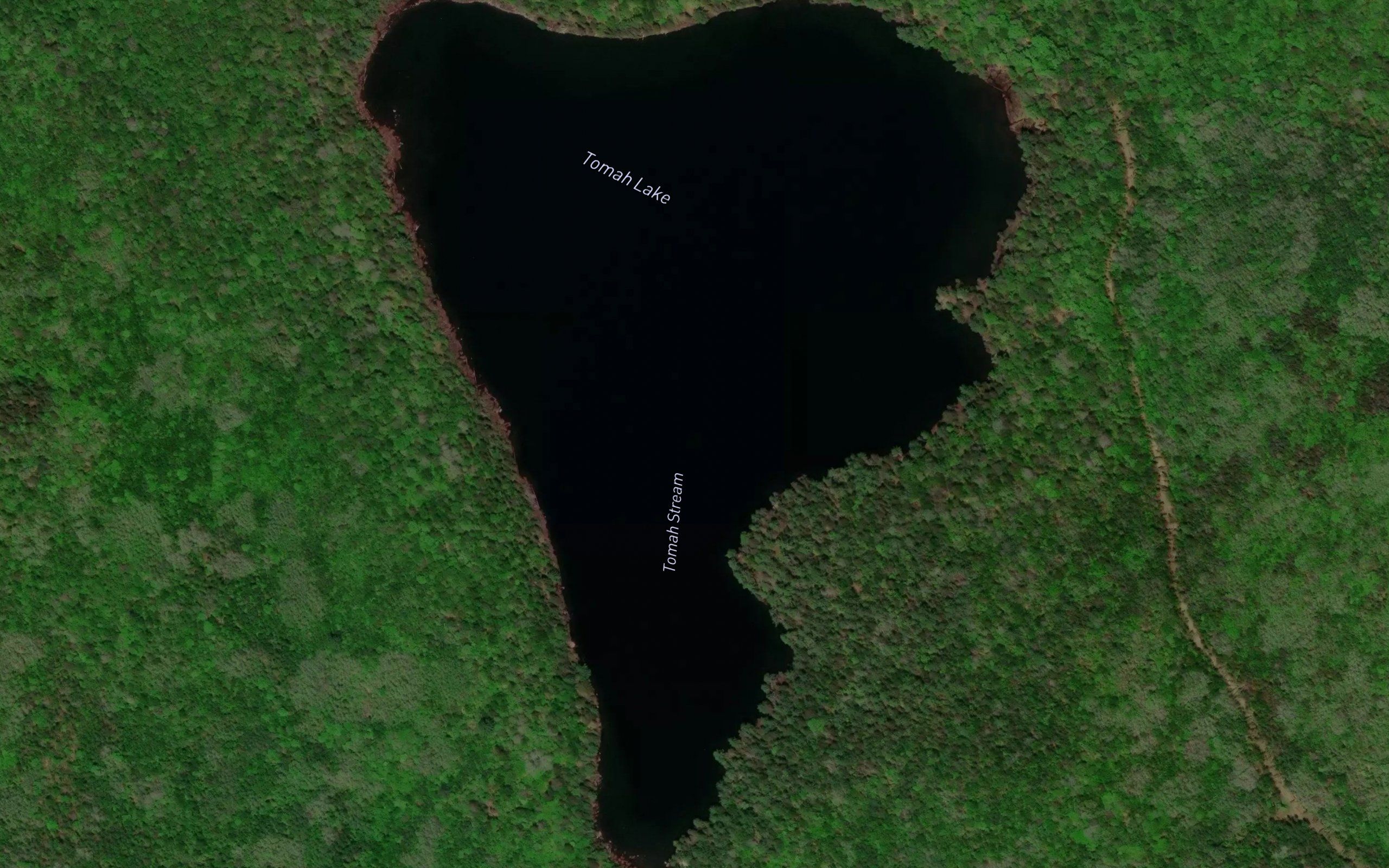 Tomah Lake