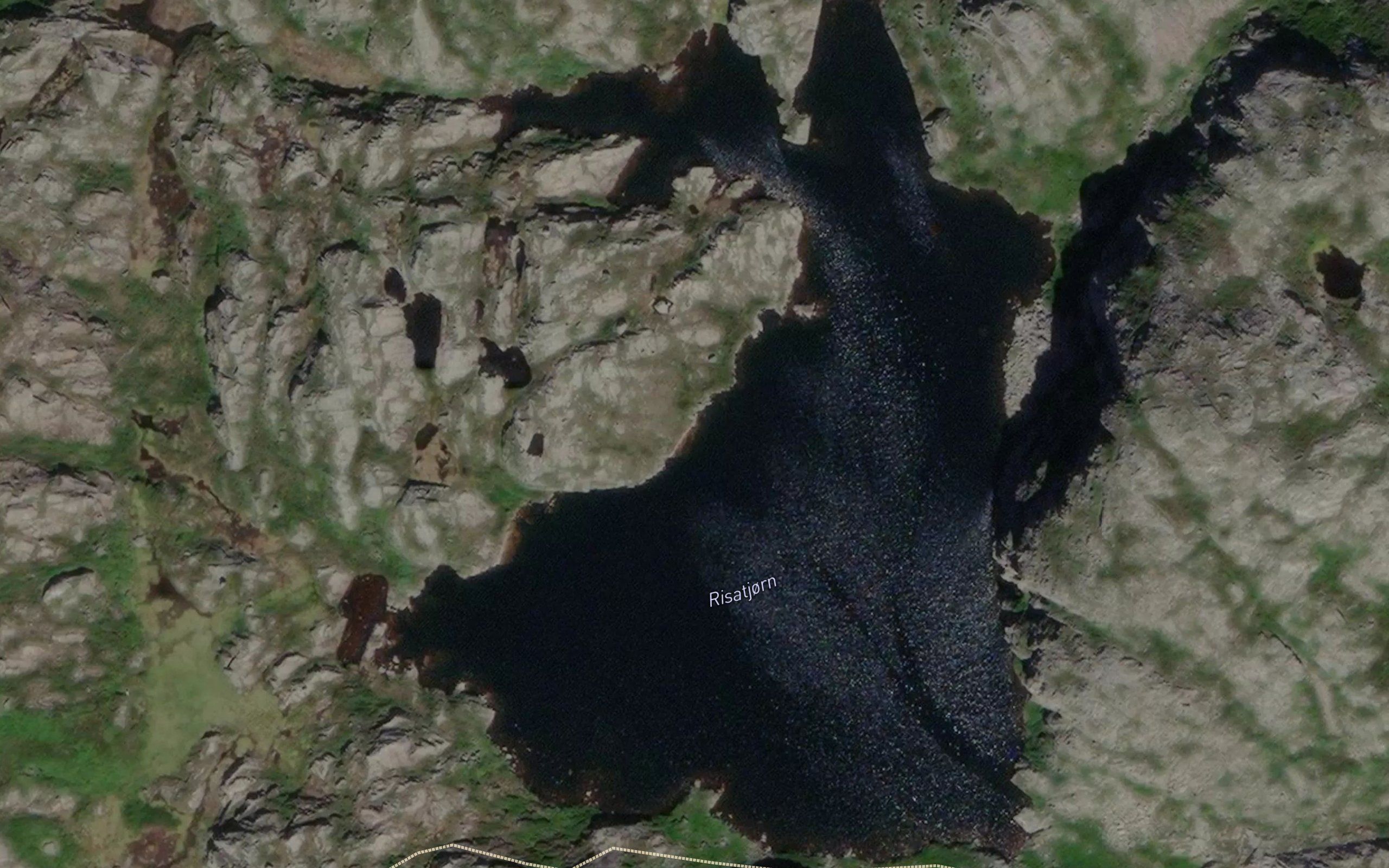 Risatjorn