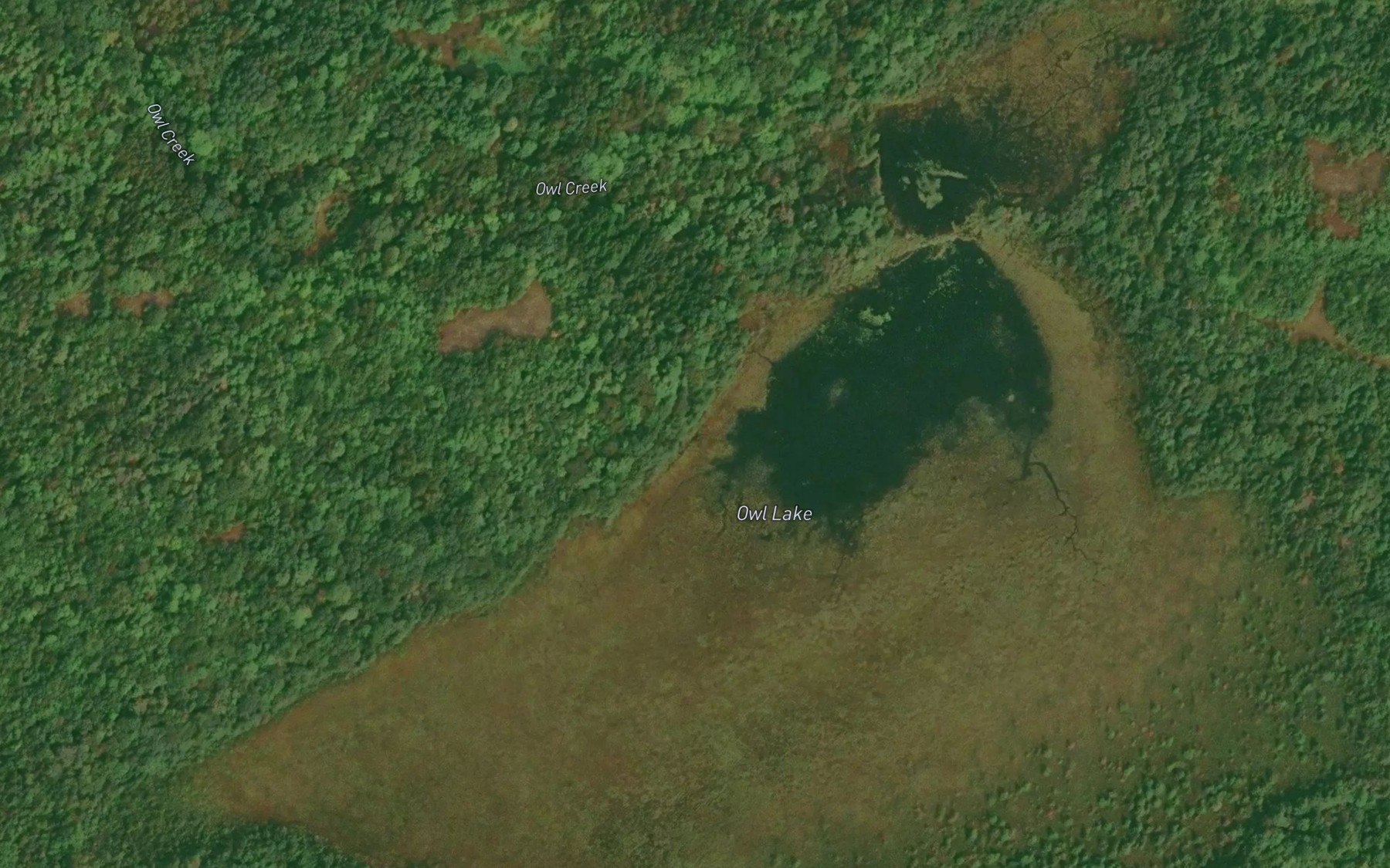 Satellite map of the Owl Lake