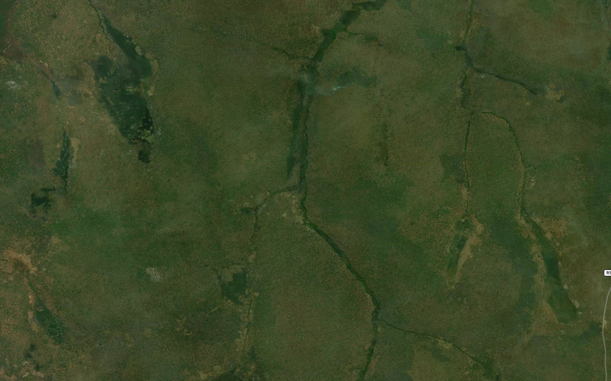 Kankorongo