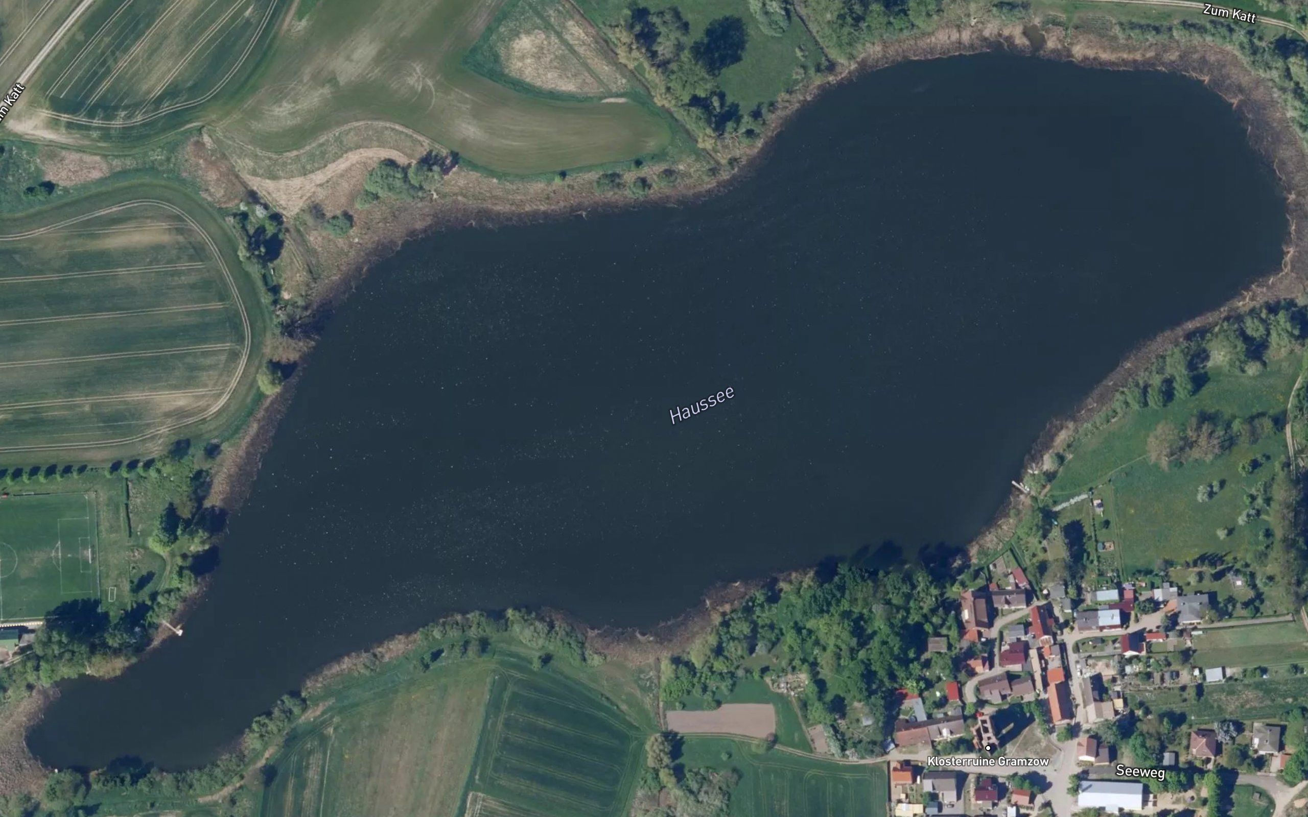 Haussee