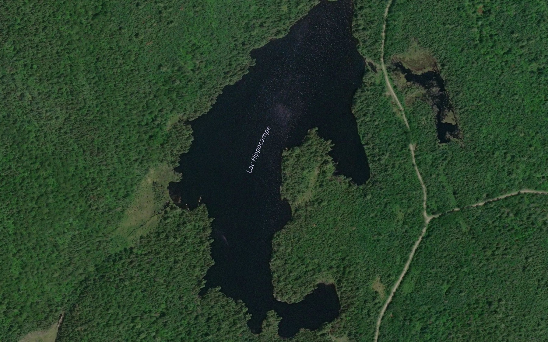 Satellite map of the Lac Hippocampe