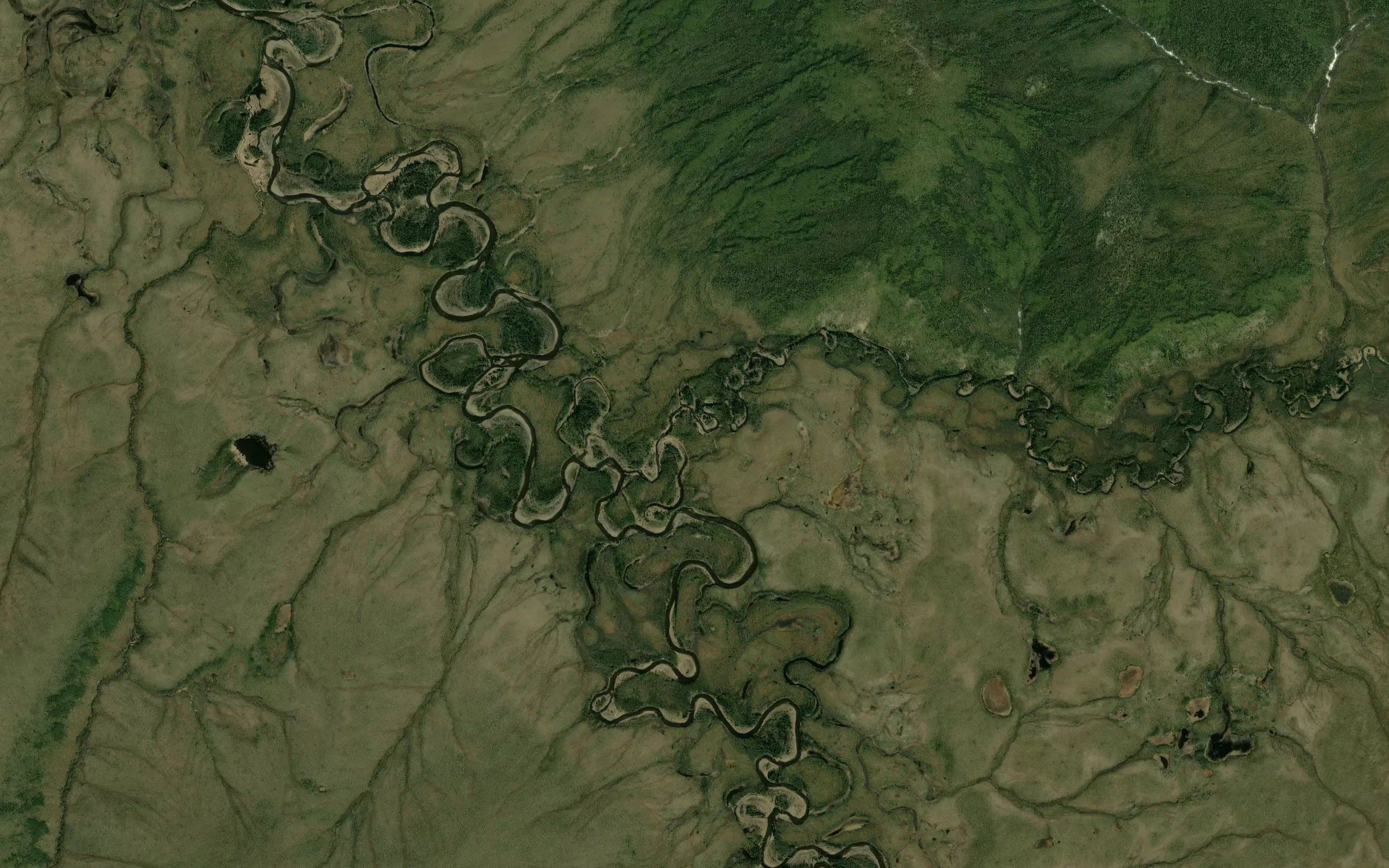South Fork Folger Creek