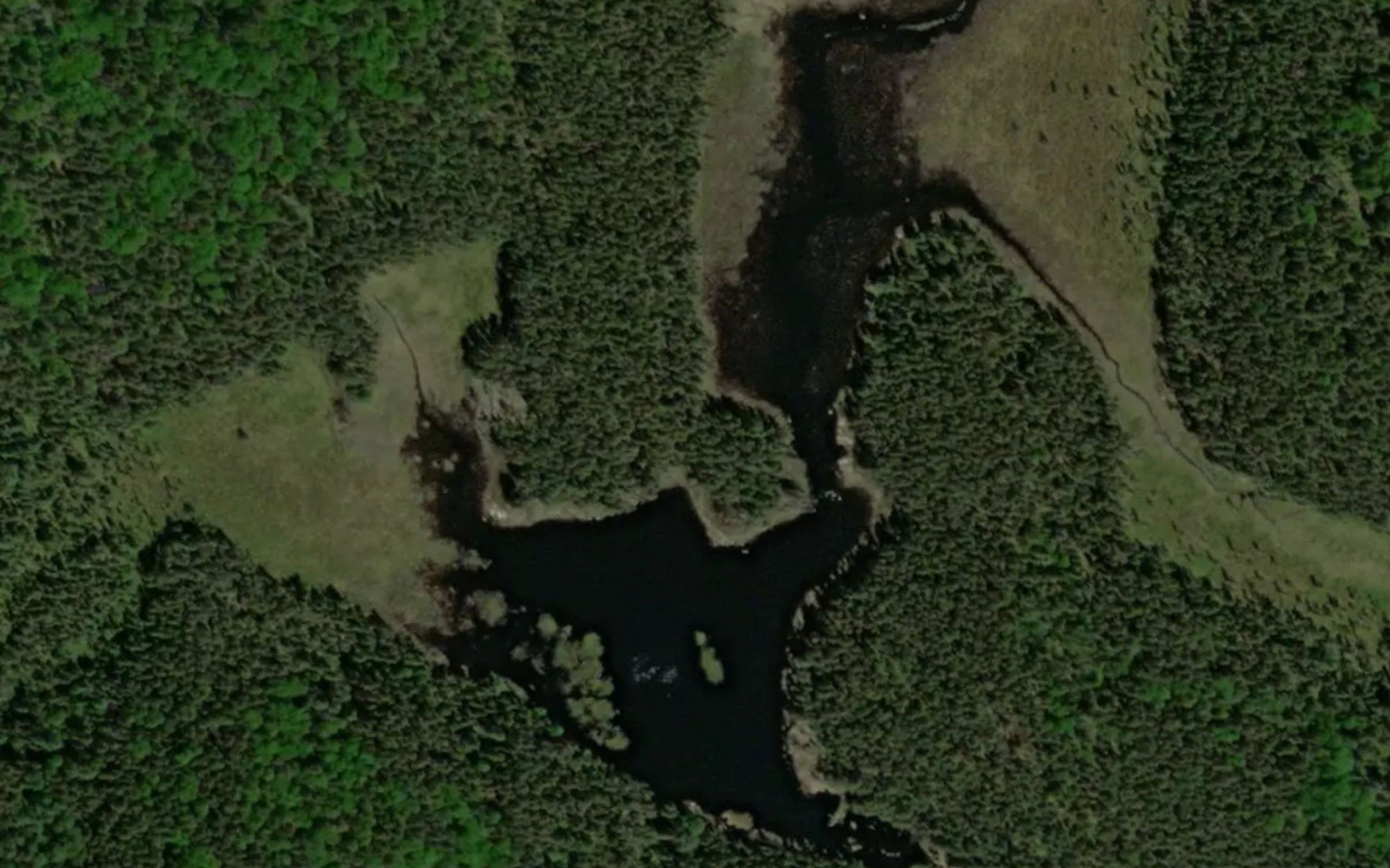 North Coonie Lake