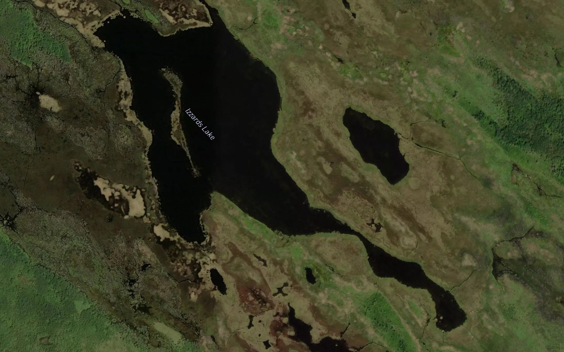 Satellite map of the Izzards Lake