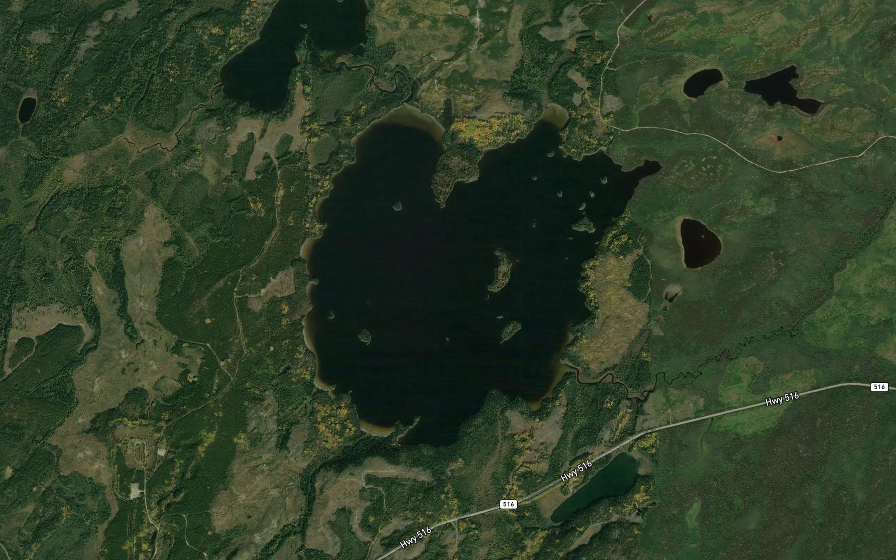Satellite map of the Houghton Lake