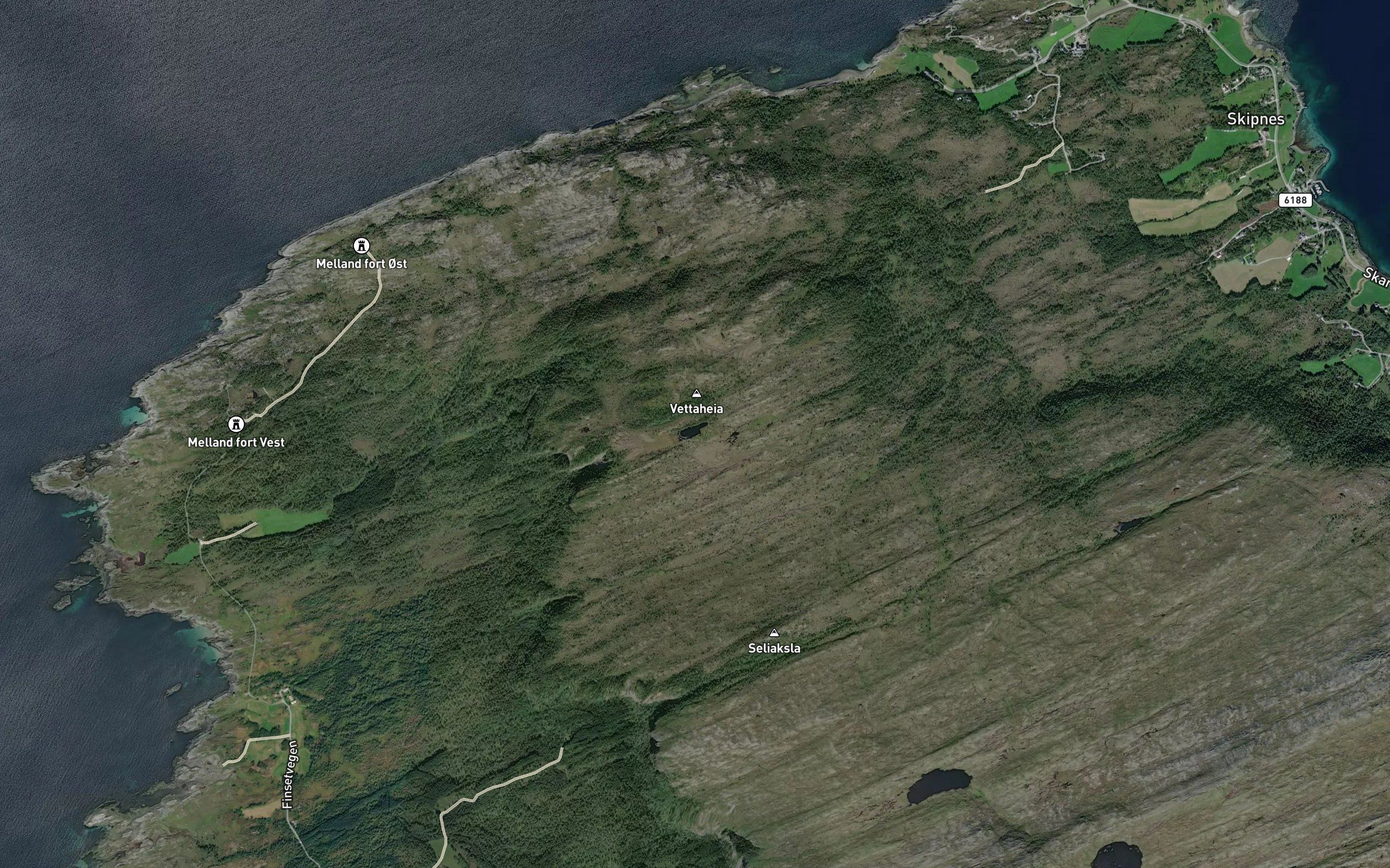 Vettatjorna