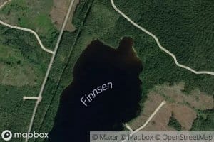 Fintsen