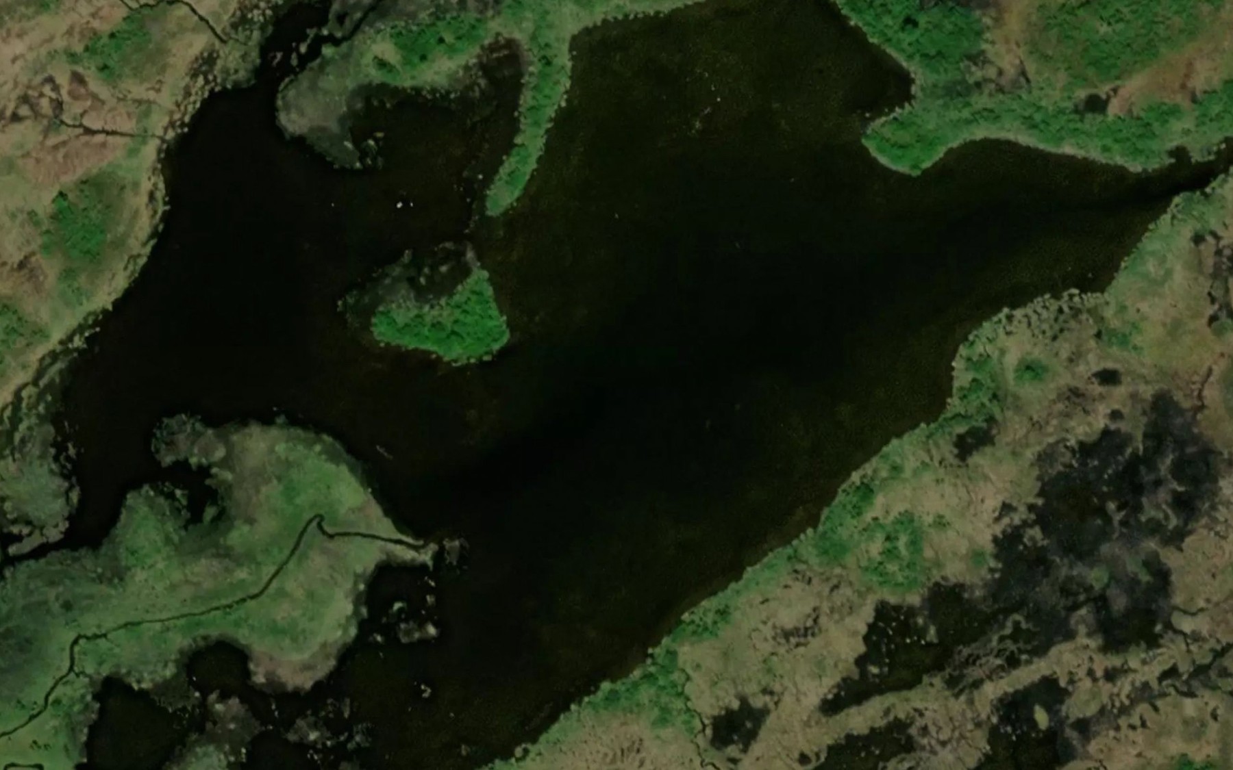 Satellite map of the Bjorkvatnet