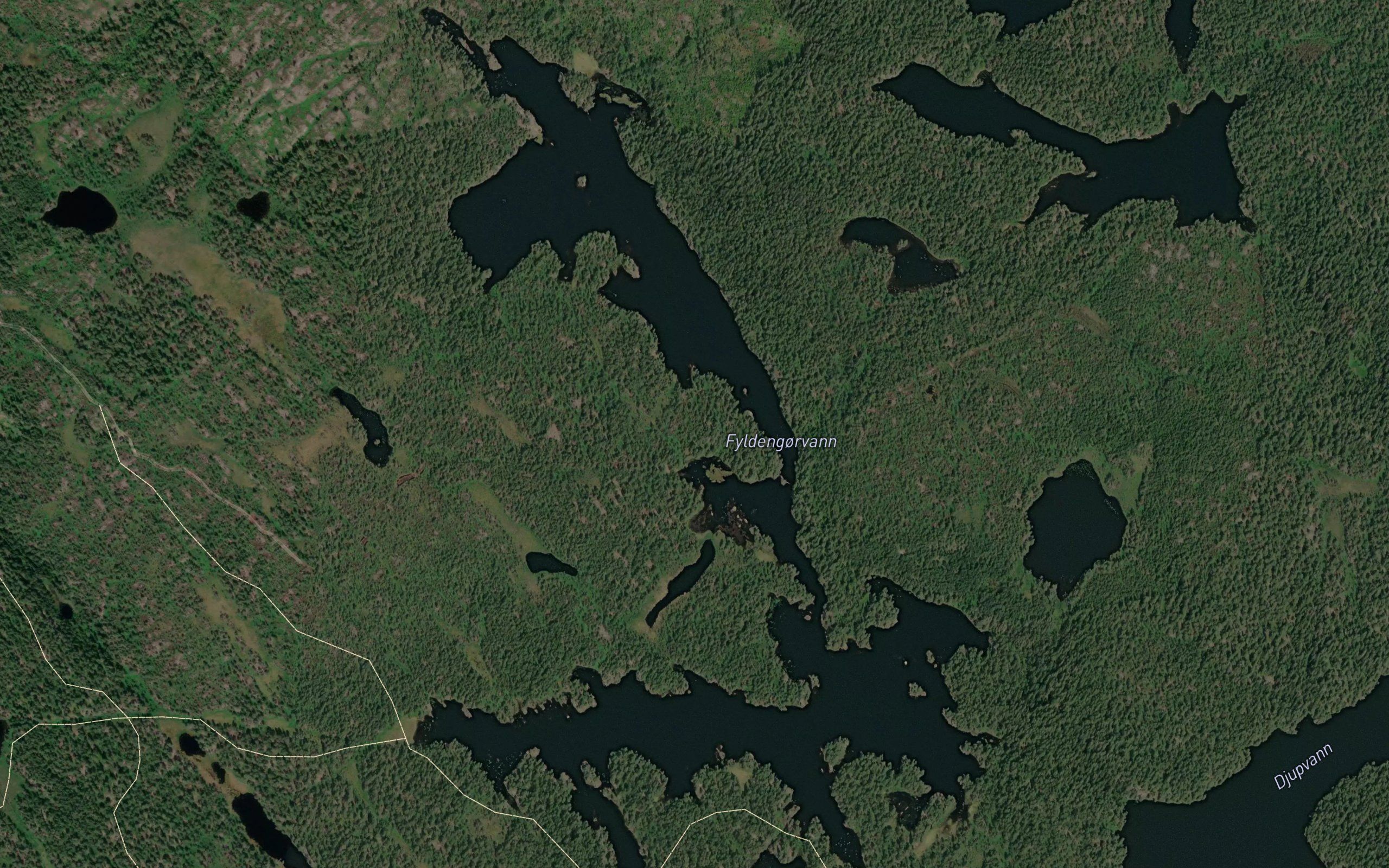 Fyldengorvann