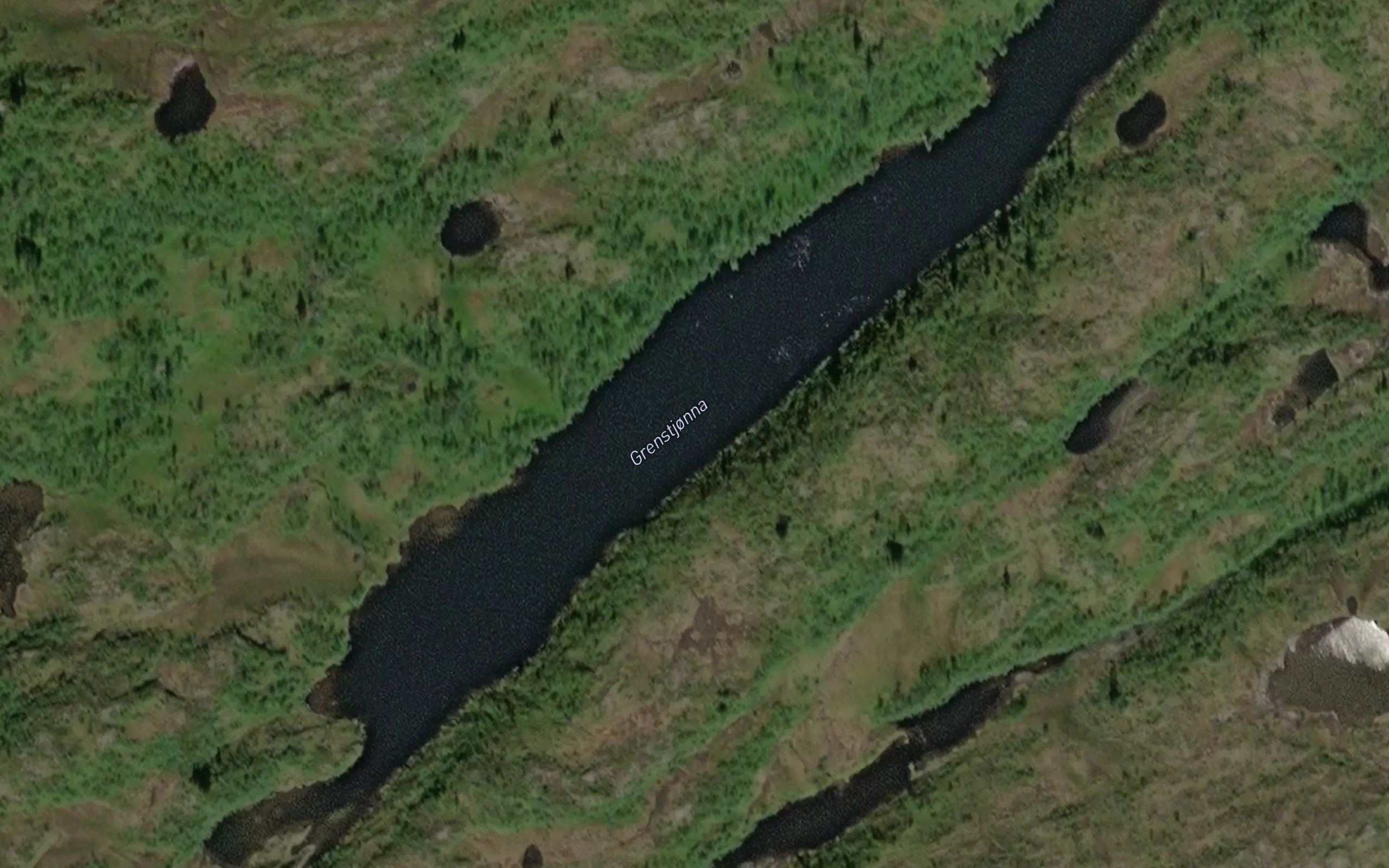 Grensetjorna