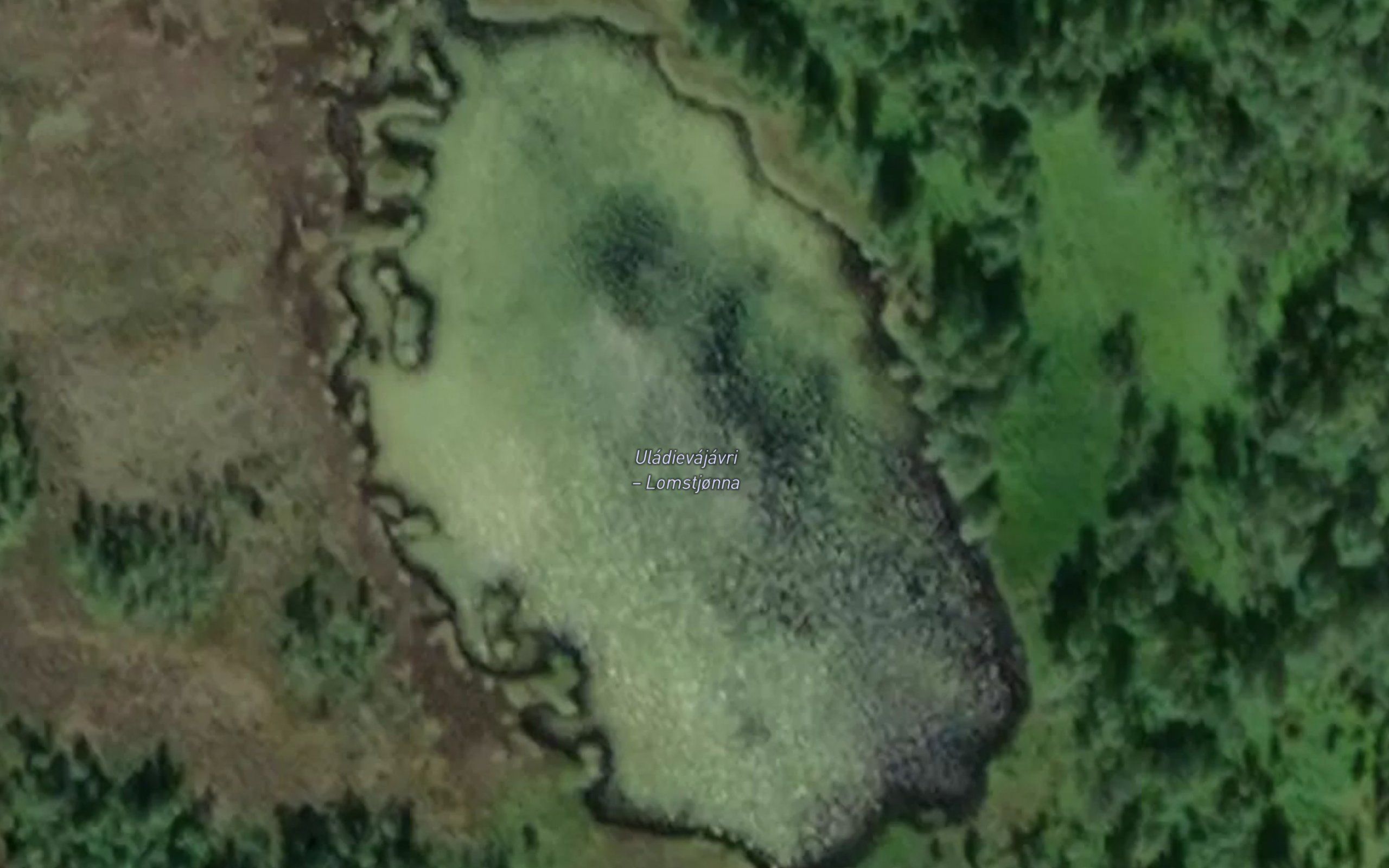 Lomstjorna