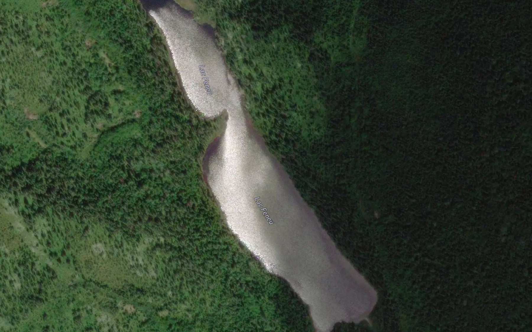 Satellite map of the Lac Feneu