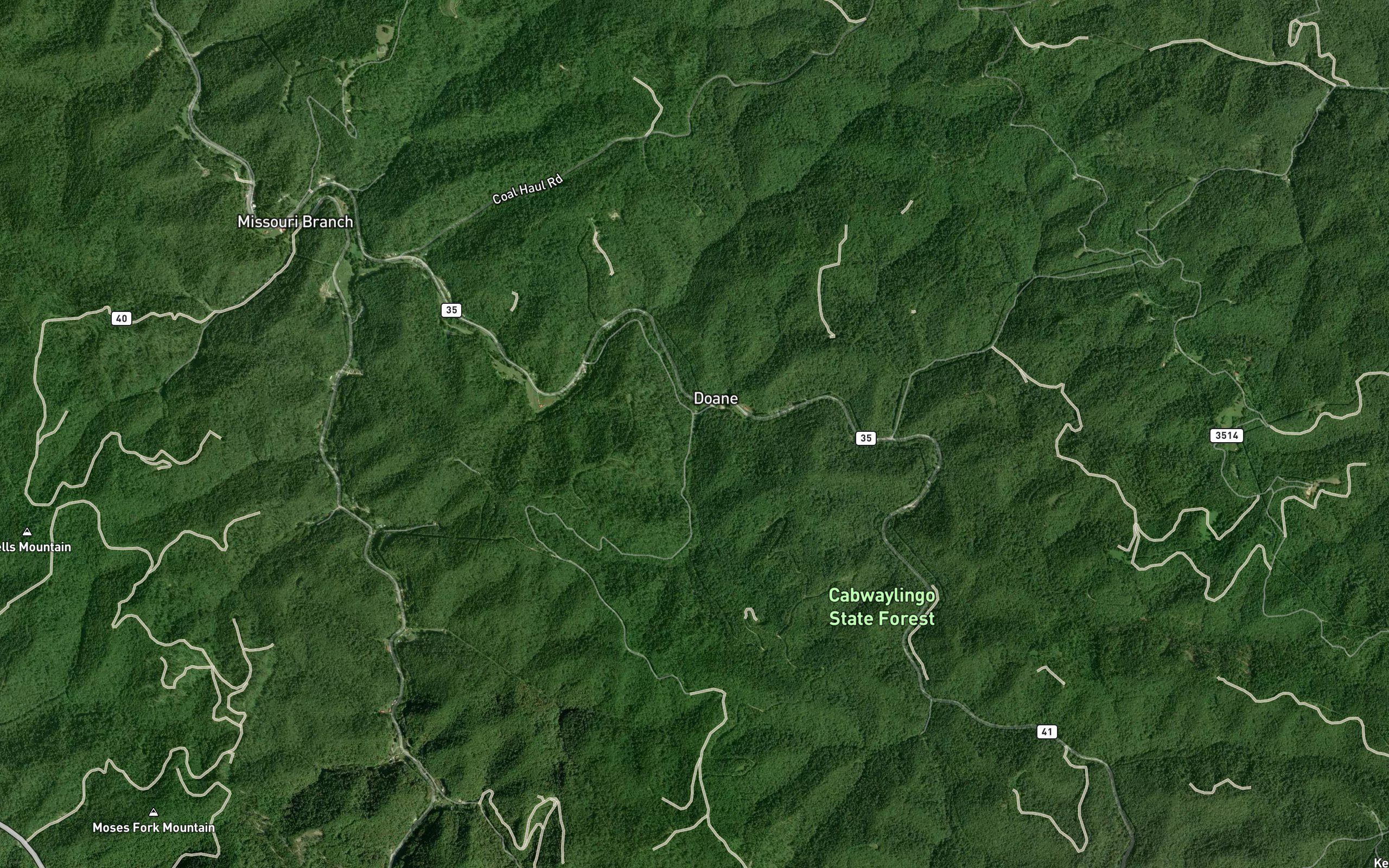 Wiley Branch