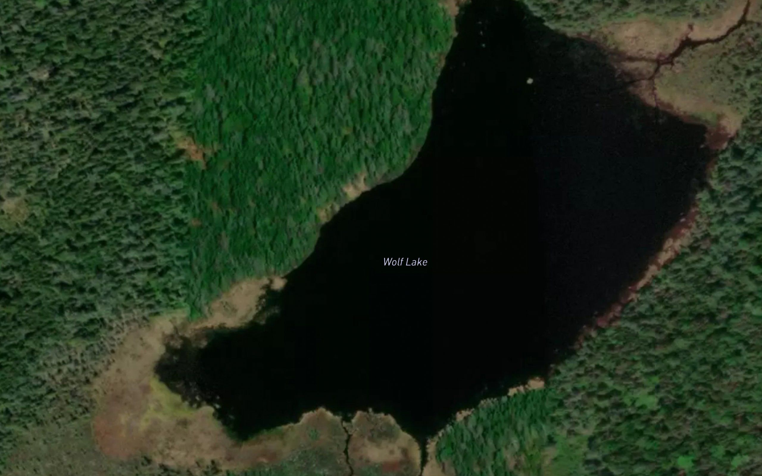 Wolf Lake