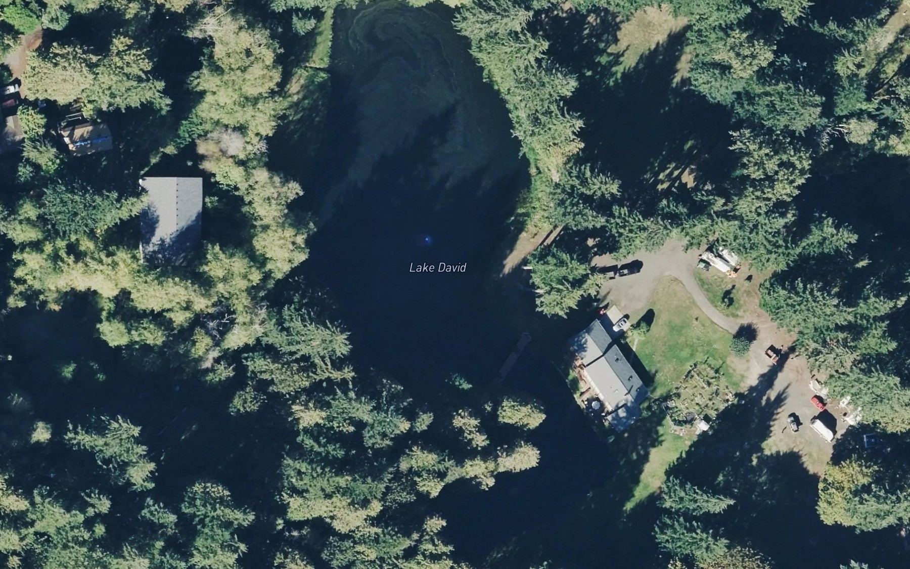 Satellite map of the Lake David