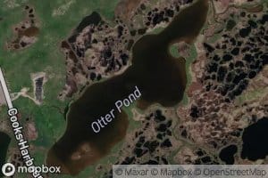 Otter Pond