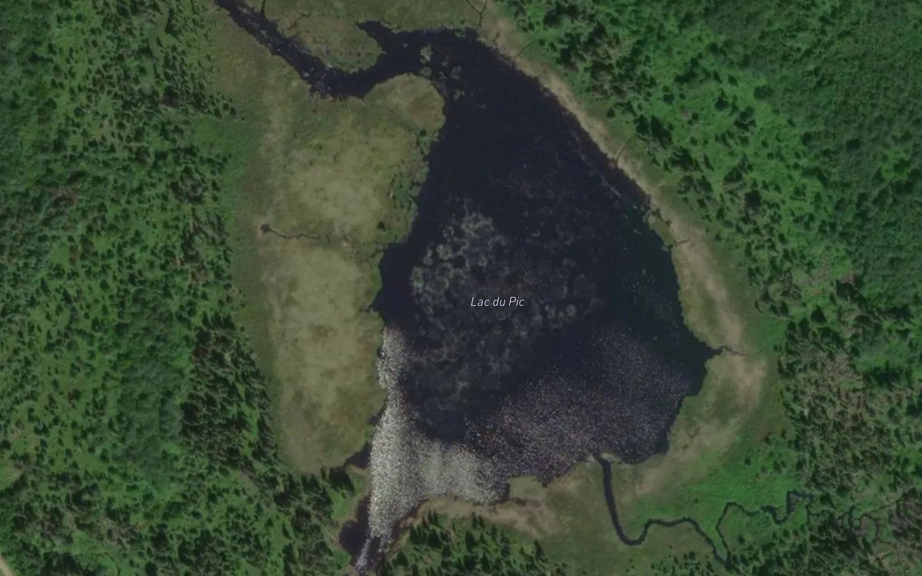 Satellite map of the Lac du Pic