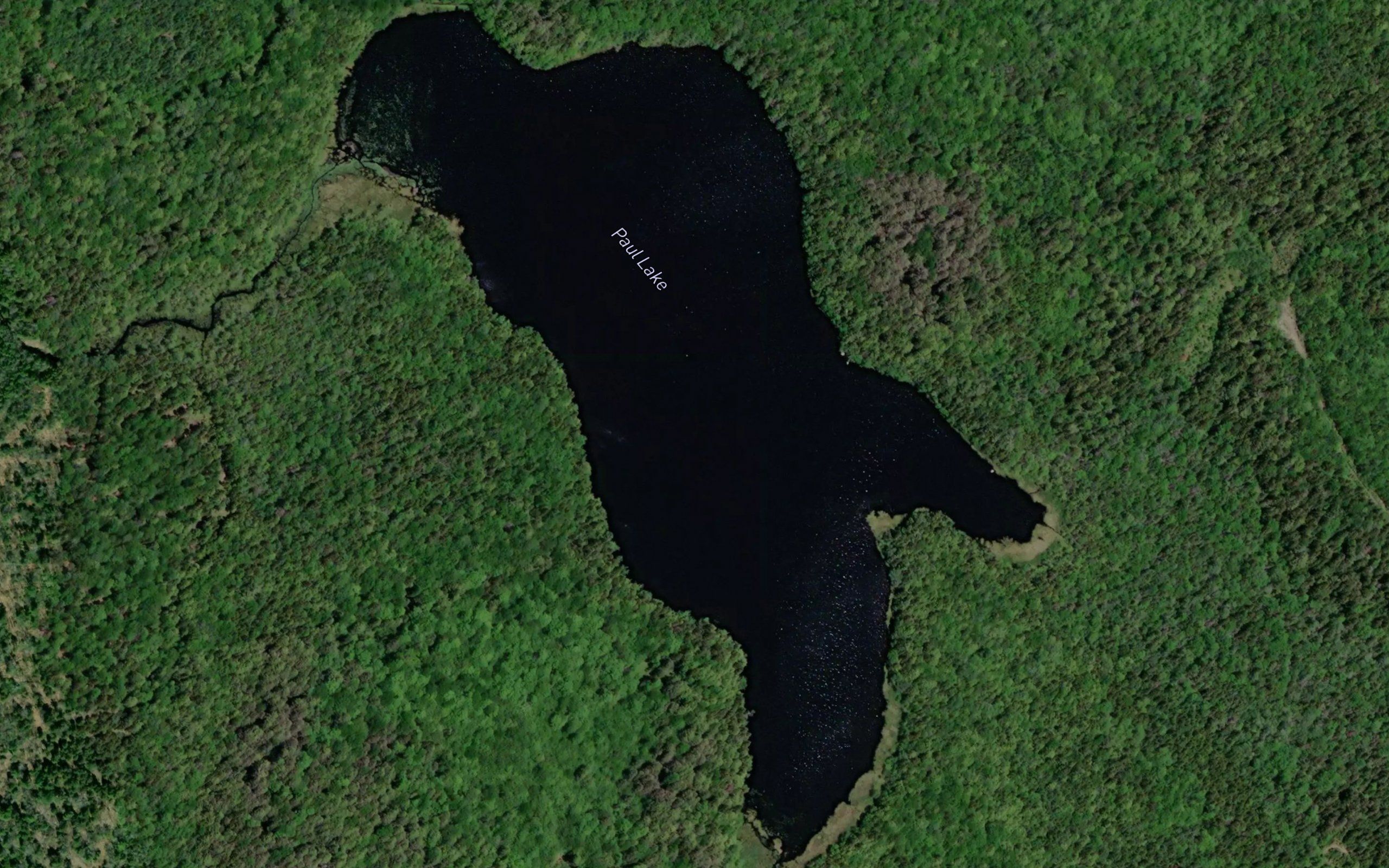 Paul Lake