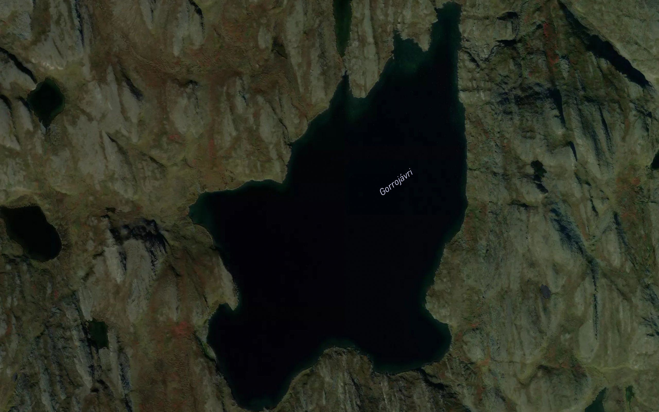 Gorrujavri