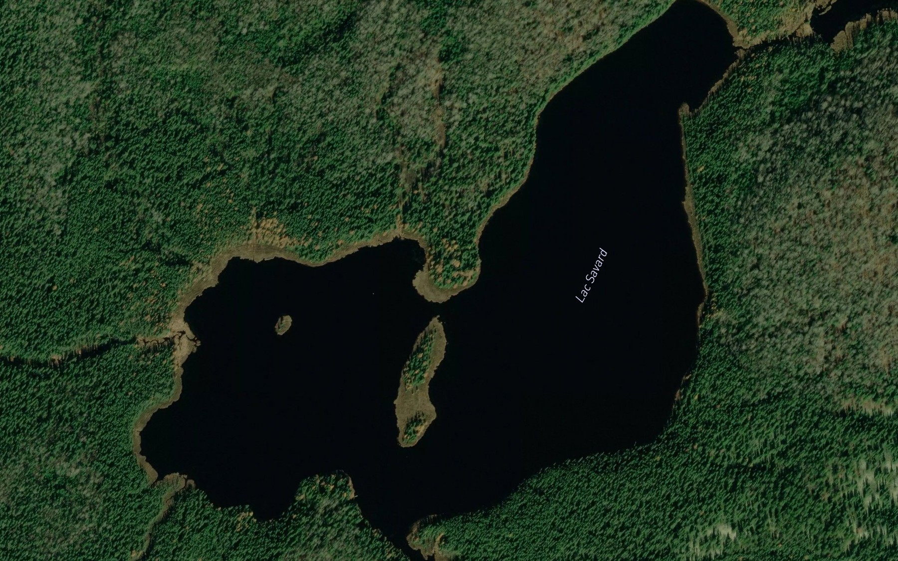 Satellite map of the Lac Savard