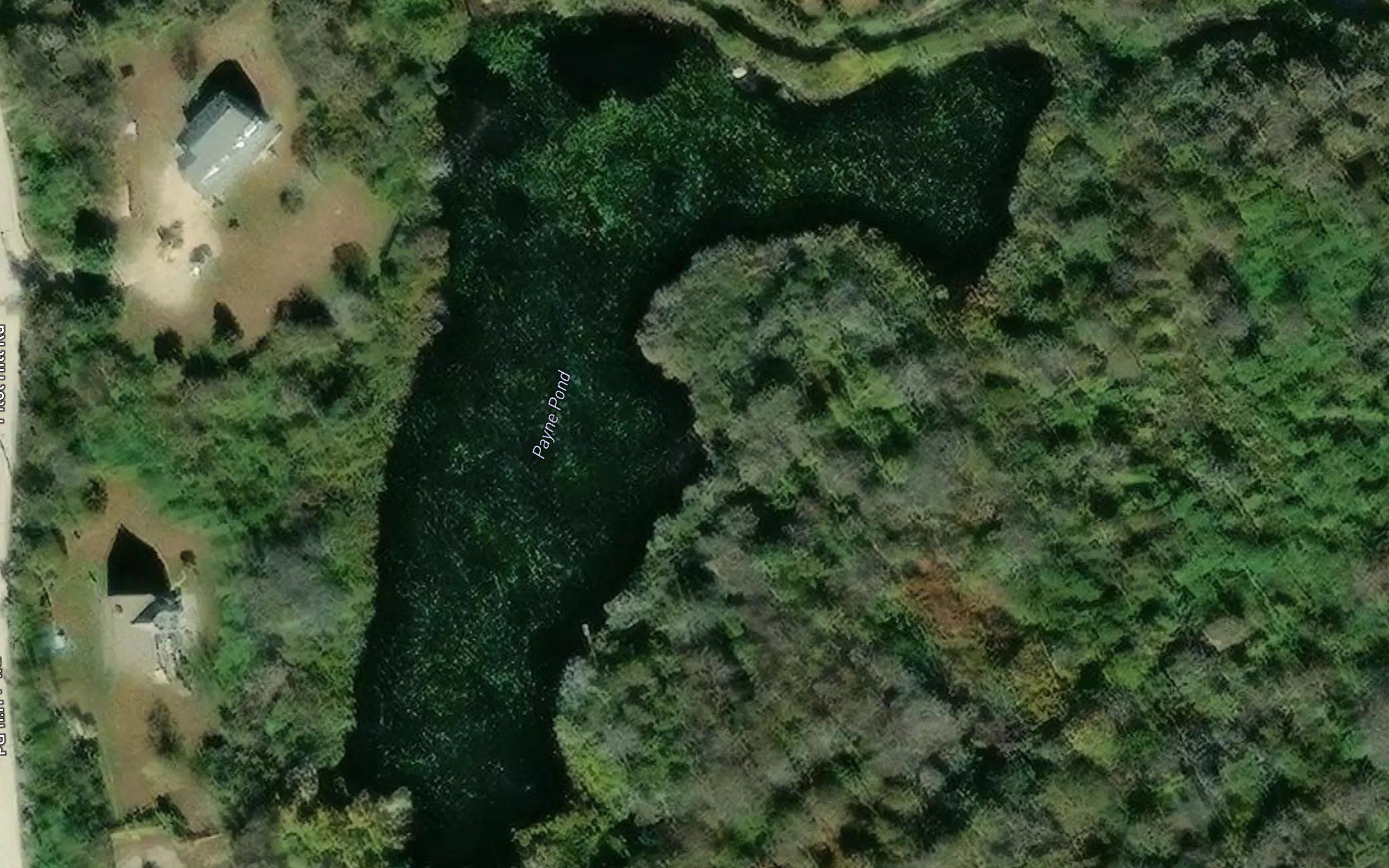 Payne Pond