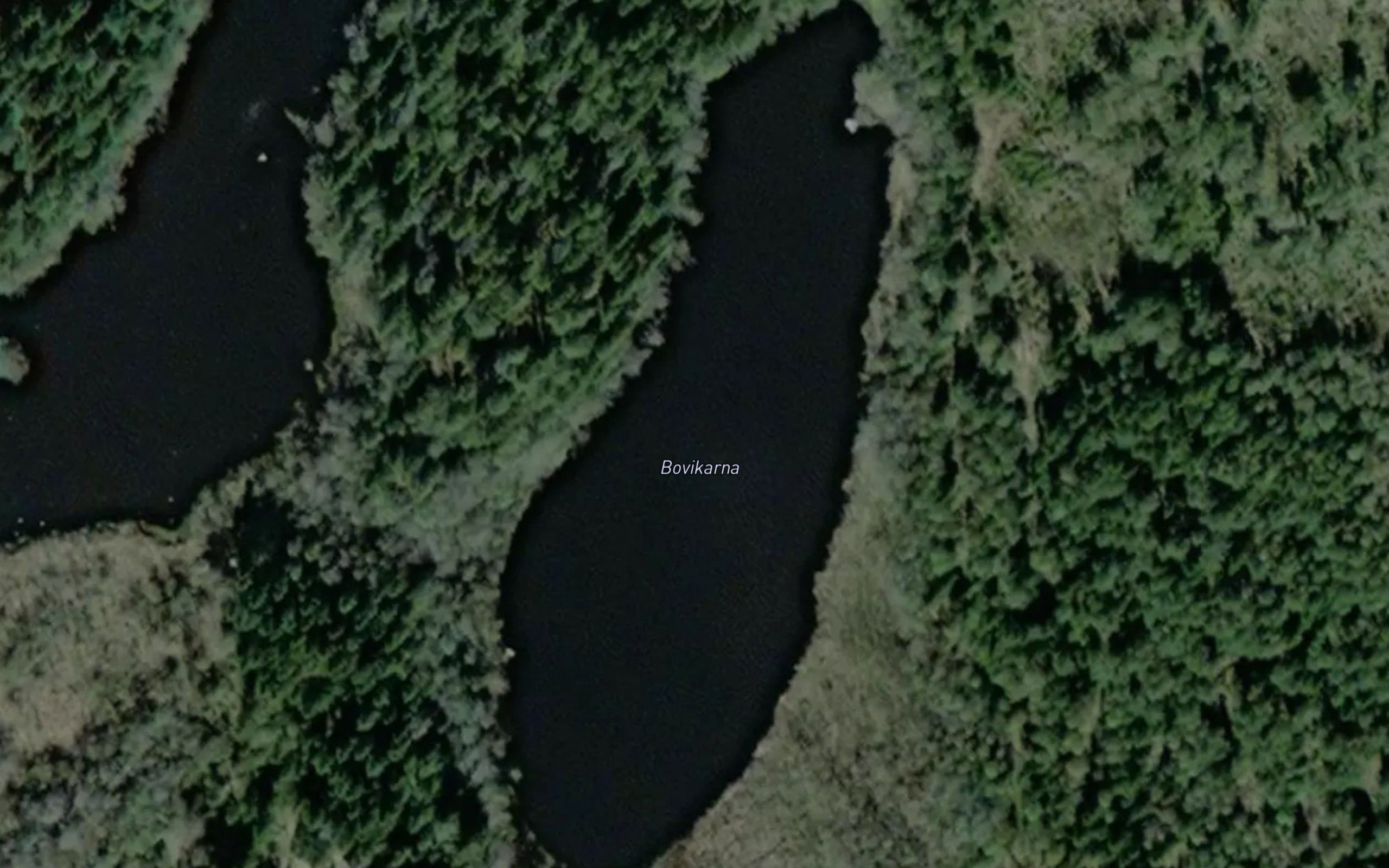 Bovikarna