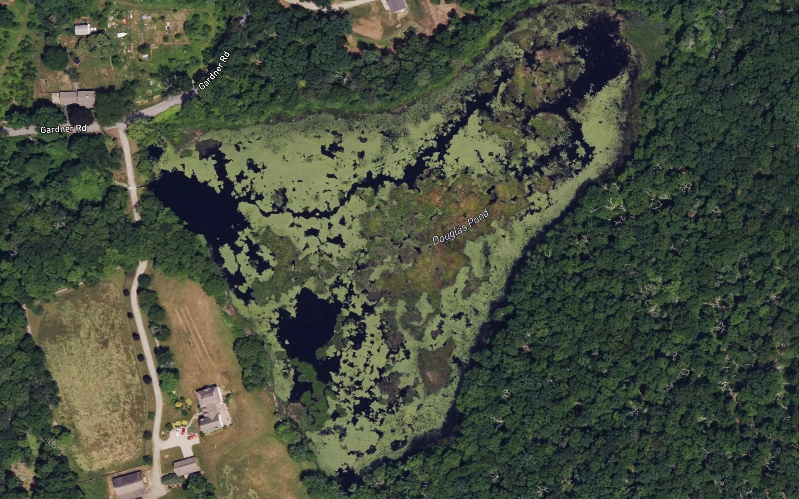 Douglas Pond