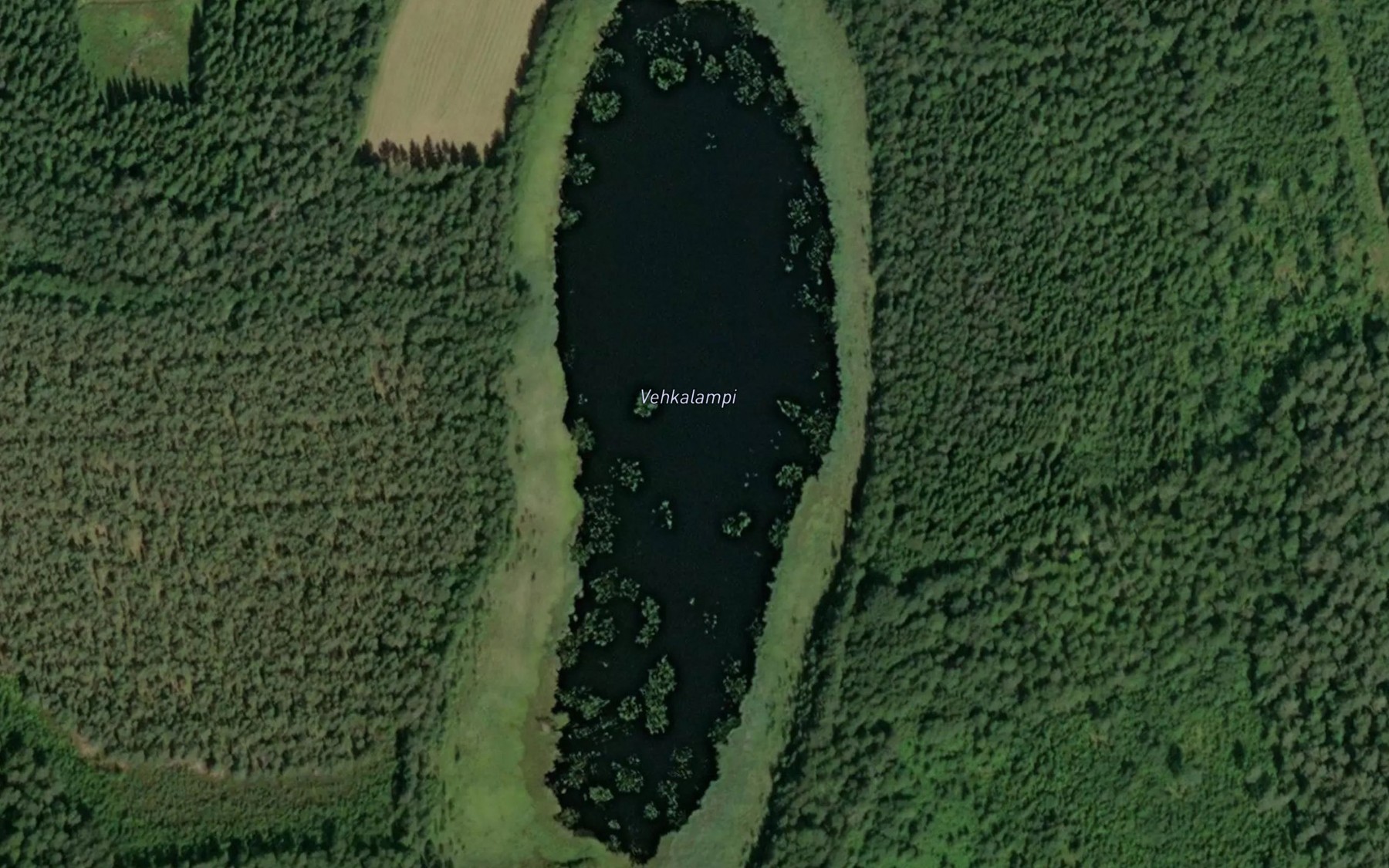 Satellite map of the Vehkalampi