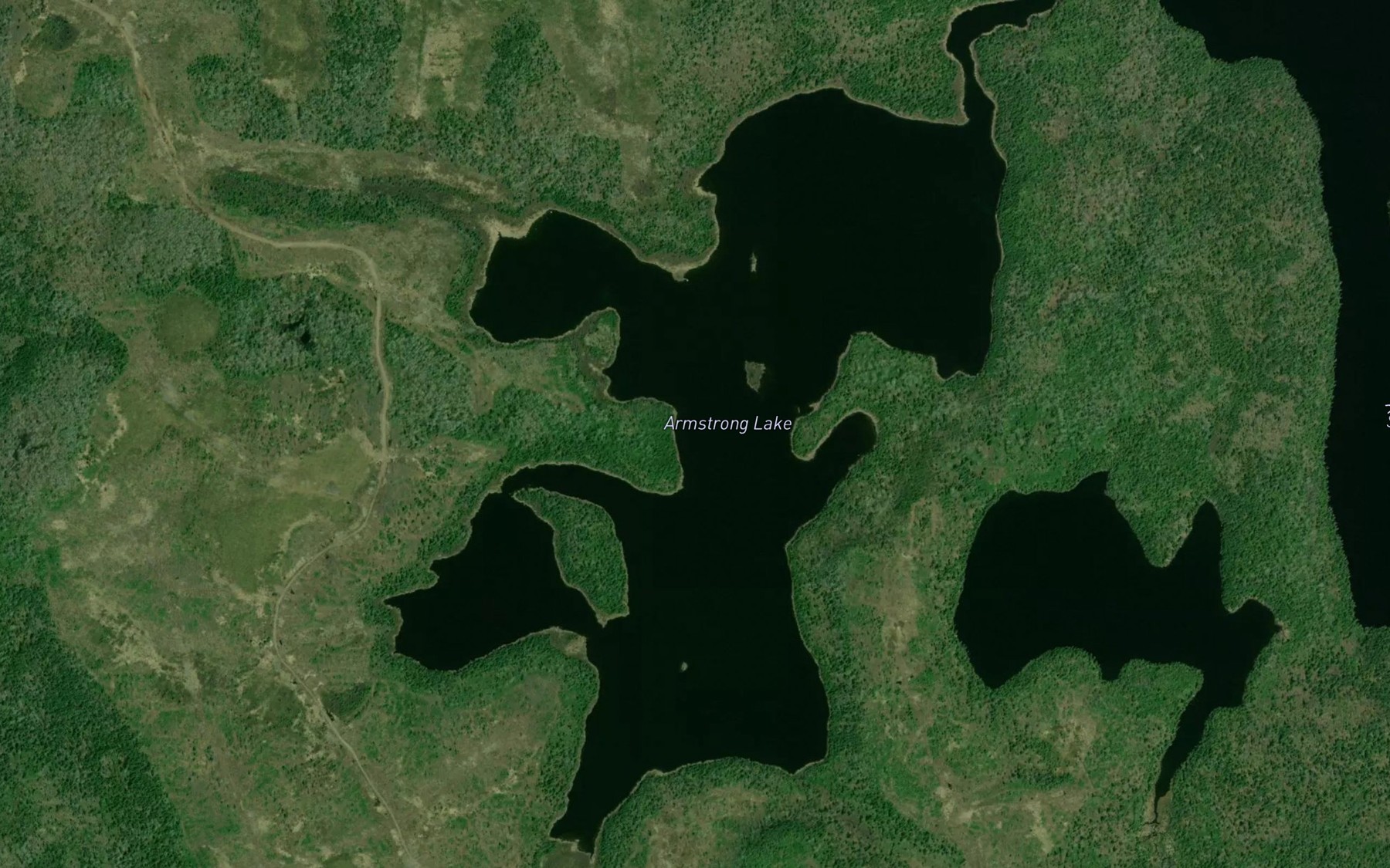 Satellite map of the Armstrong Lake
