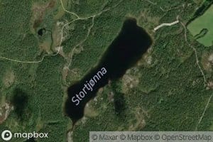 Stortjorna