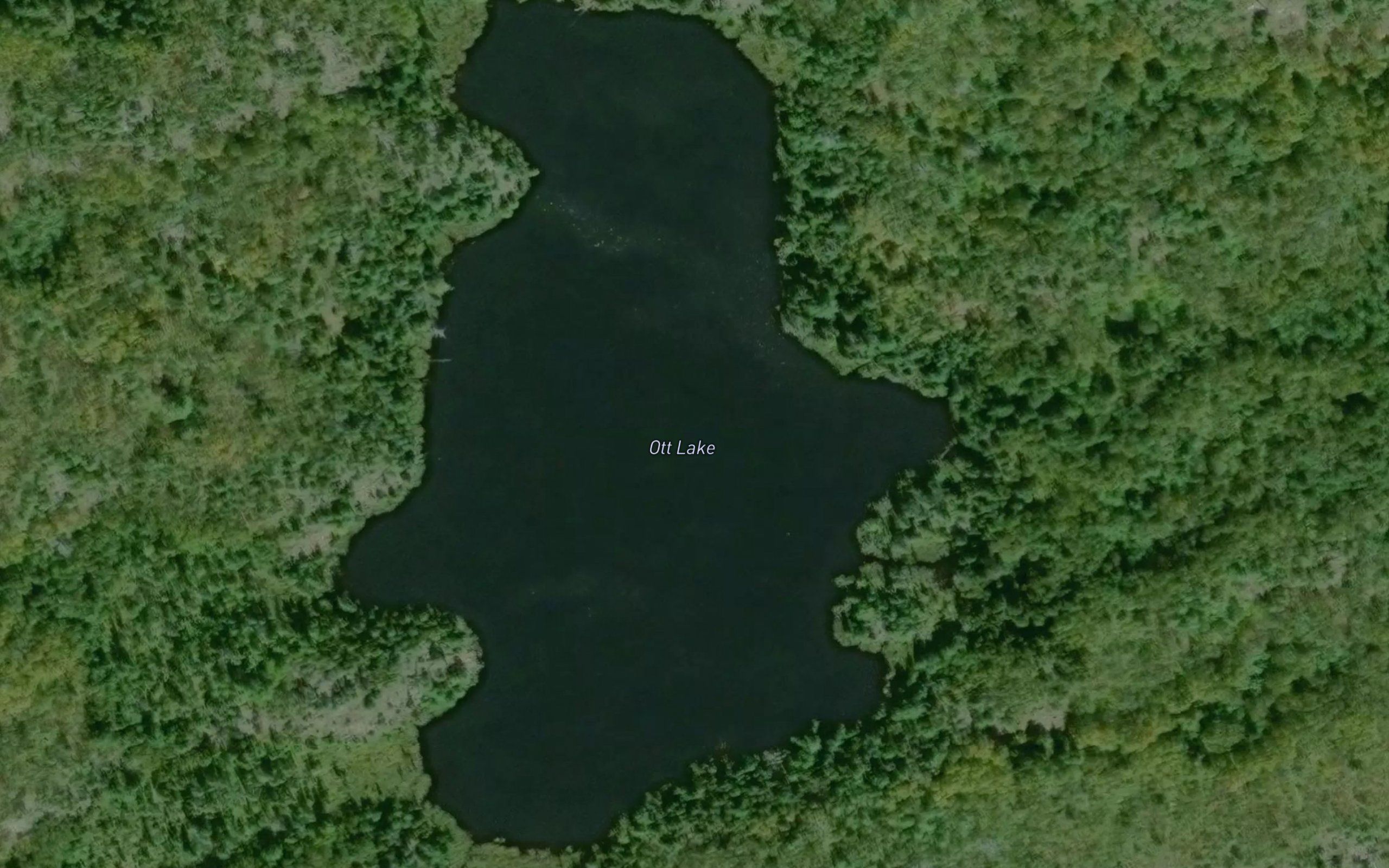 Ott Lake
