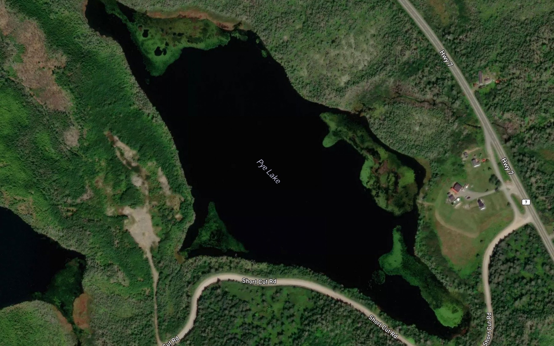 Satellite map of the Pye Lake