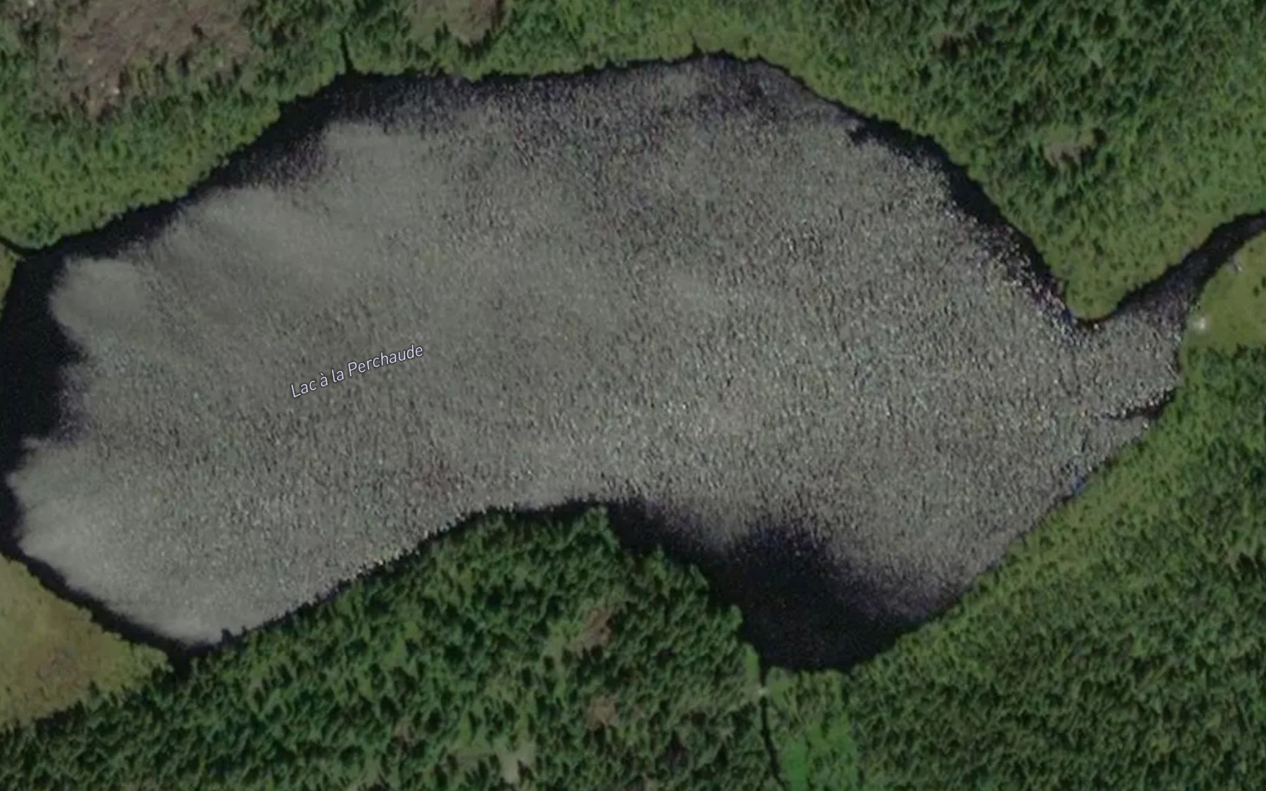 Satellite map of the Lac a la Perchaude