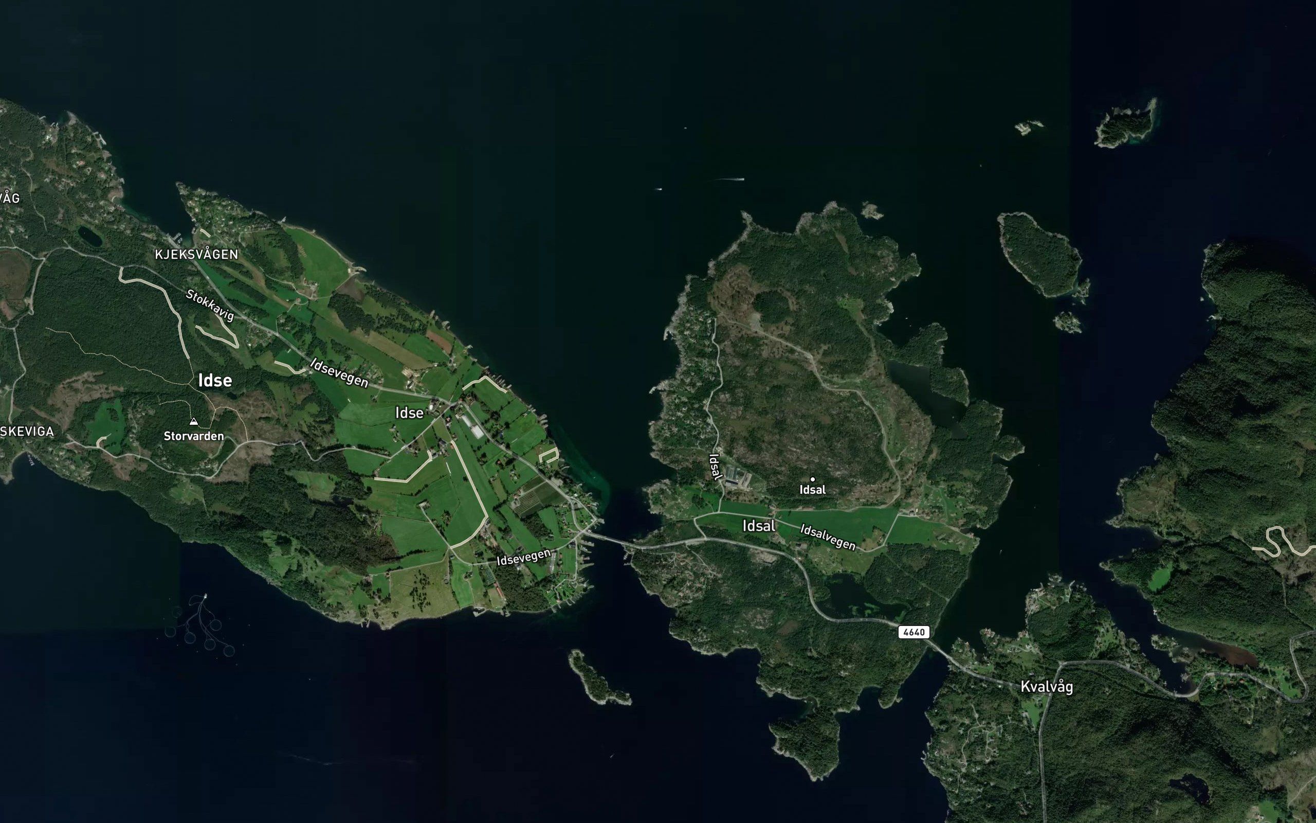 Skarvoddavik