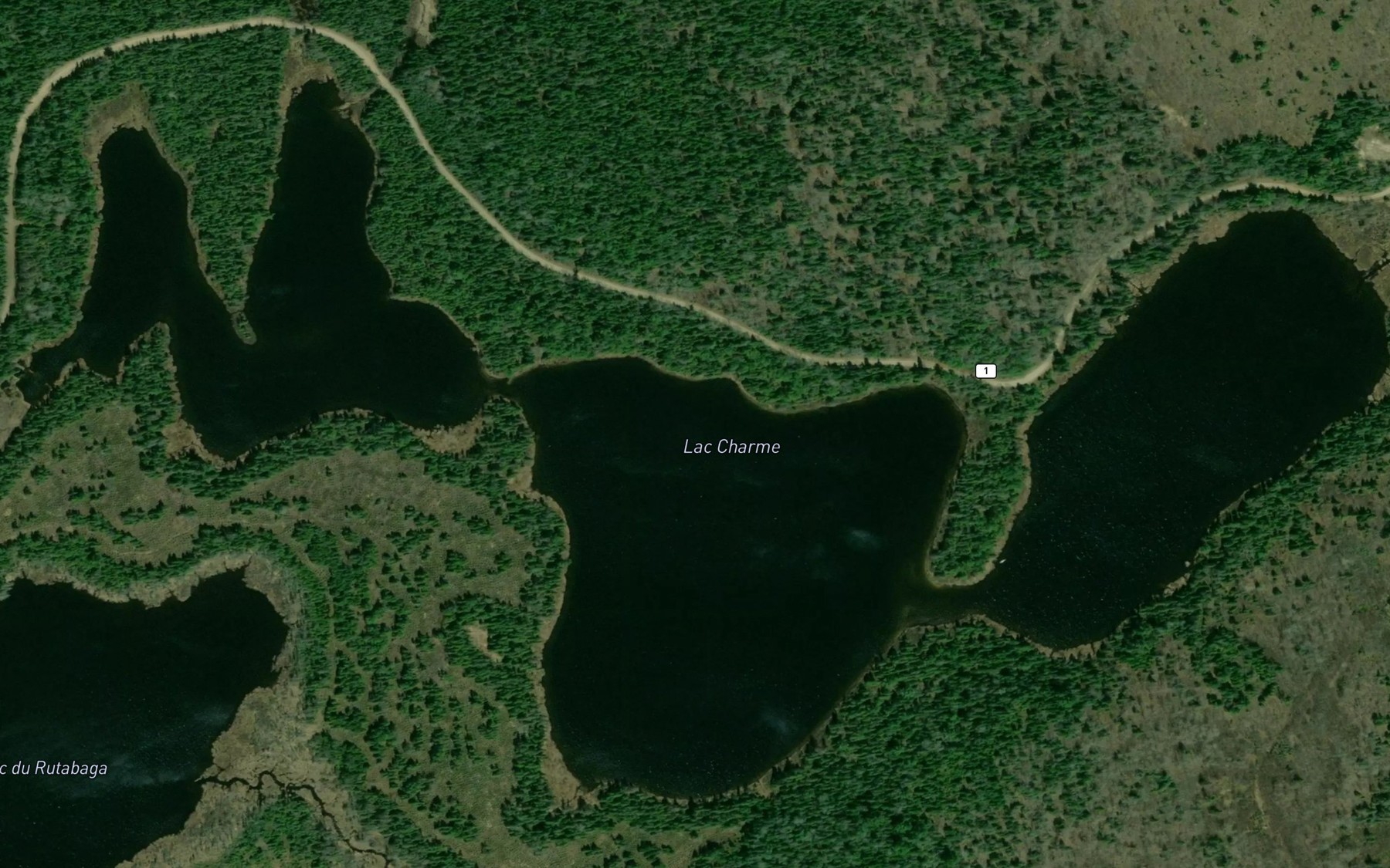 Satellite map of the Lac Charme