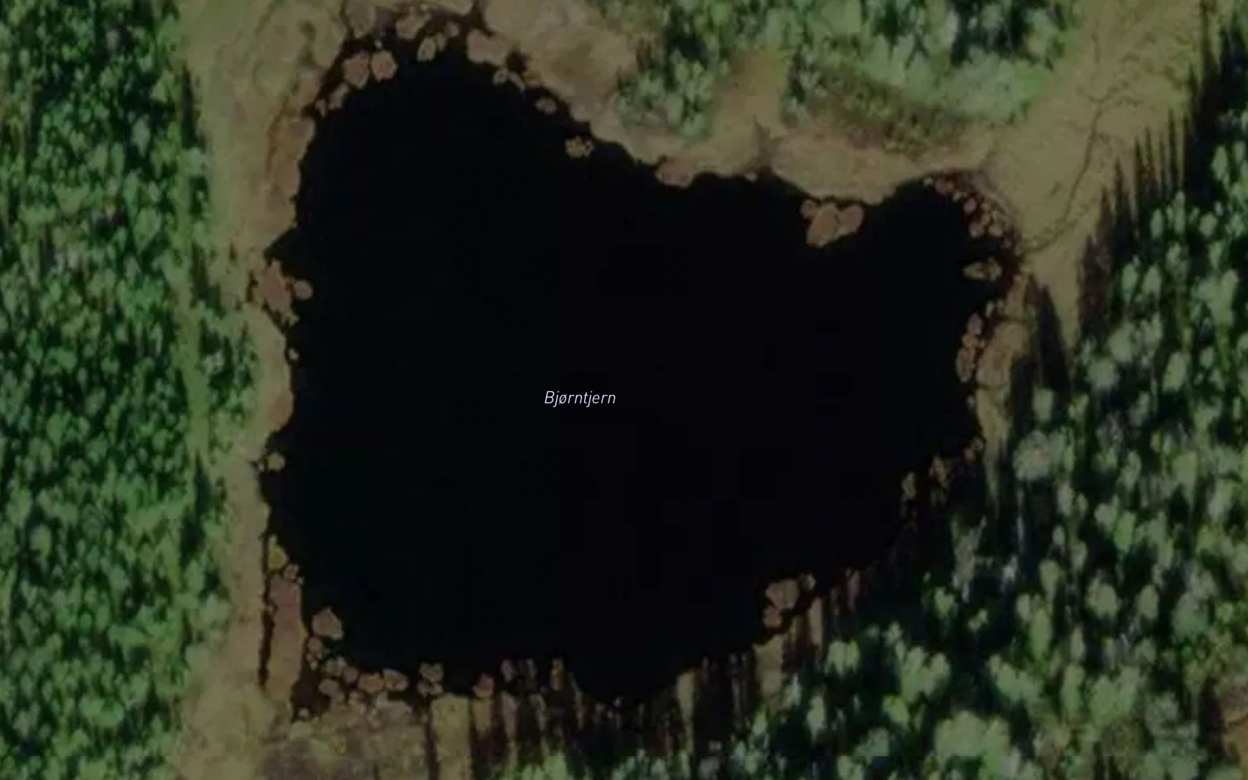 Bjorntjern