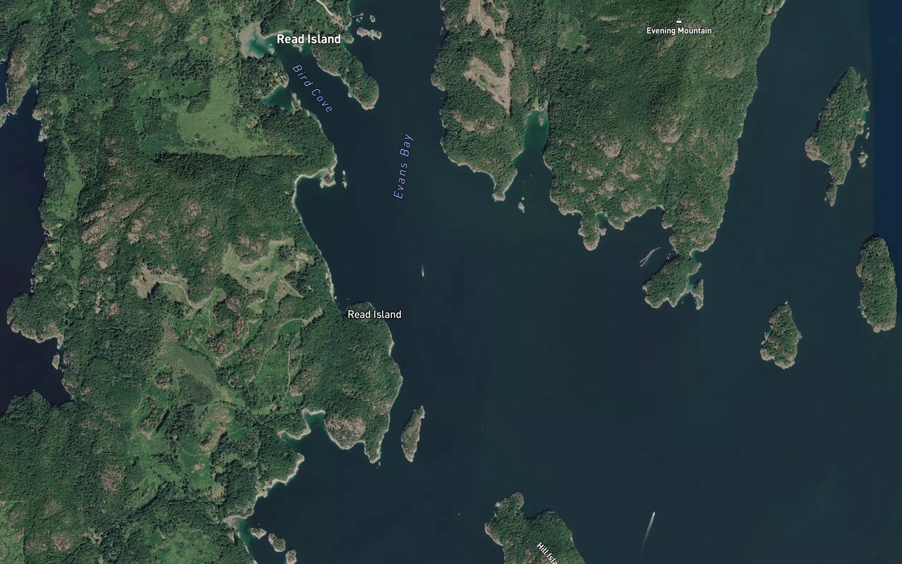 Satellite map of the Evans Bay