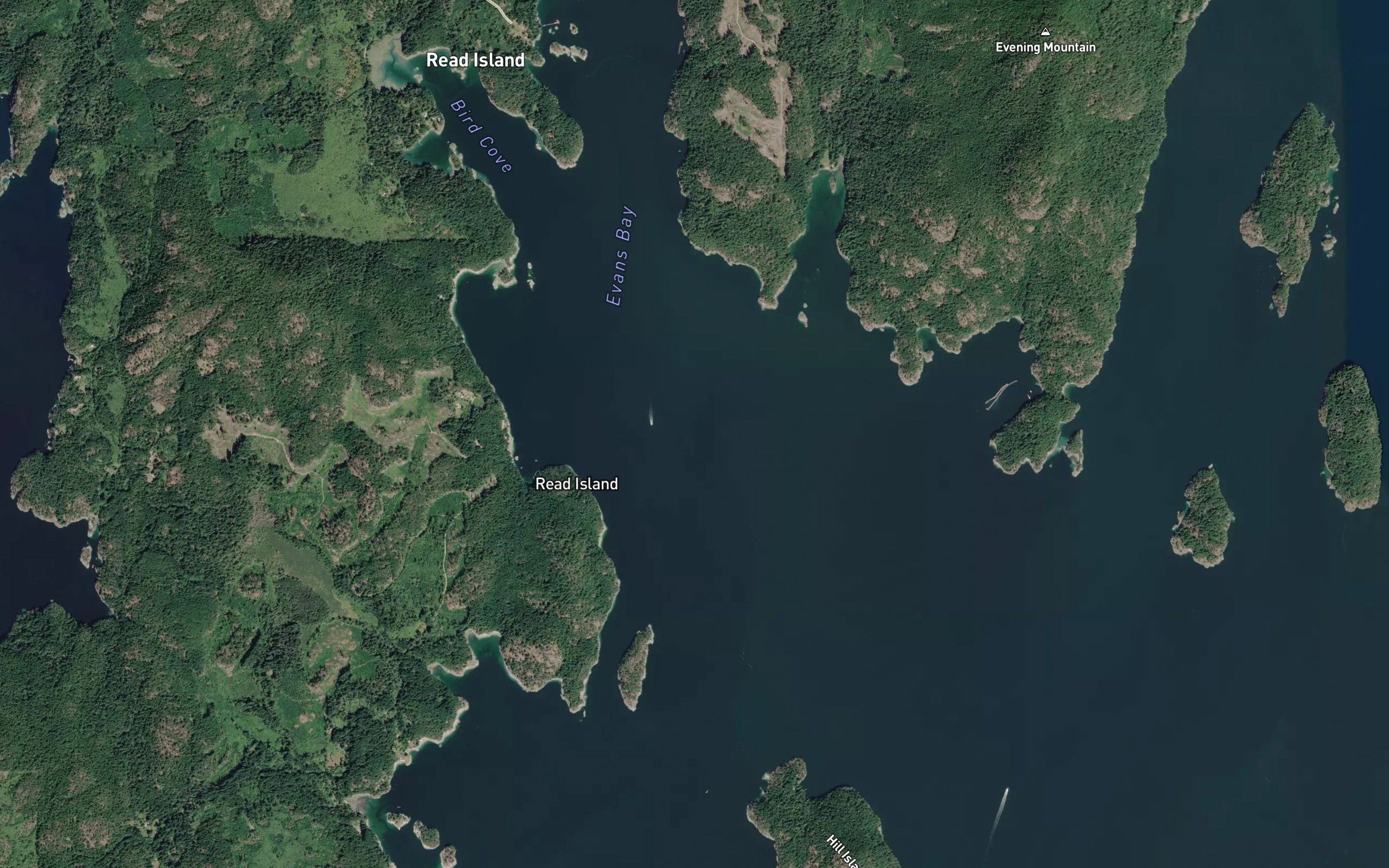 Evans Bay