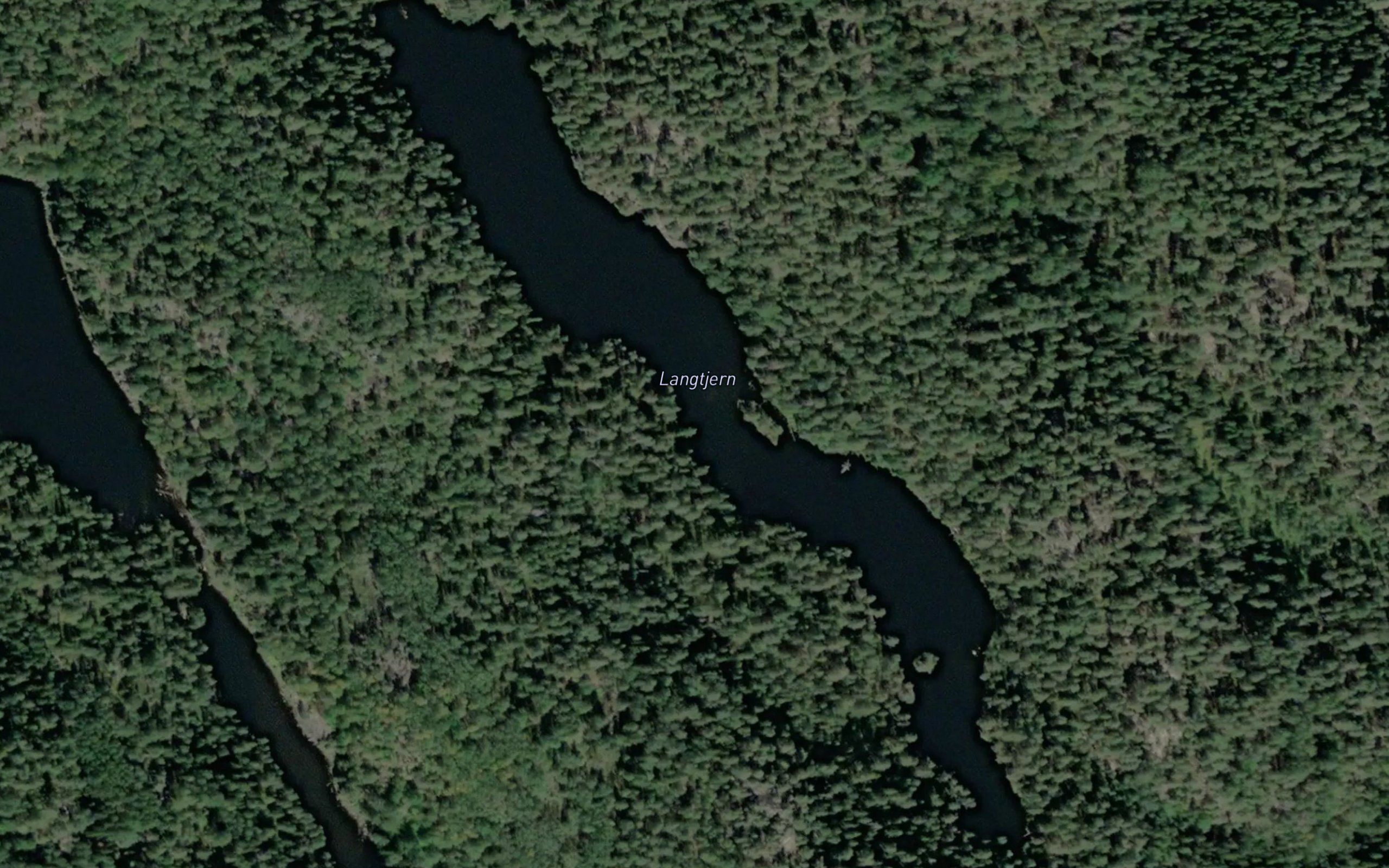 Langtjern