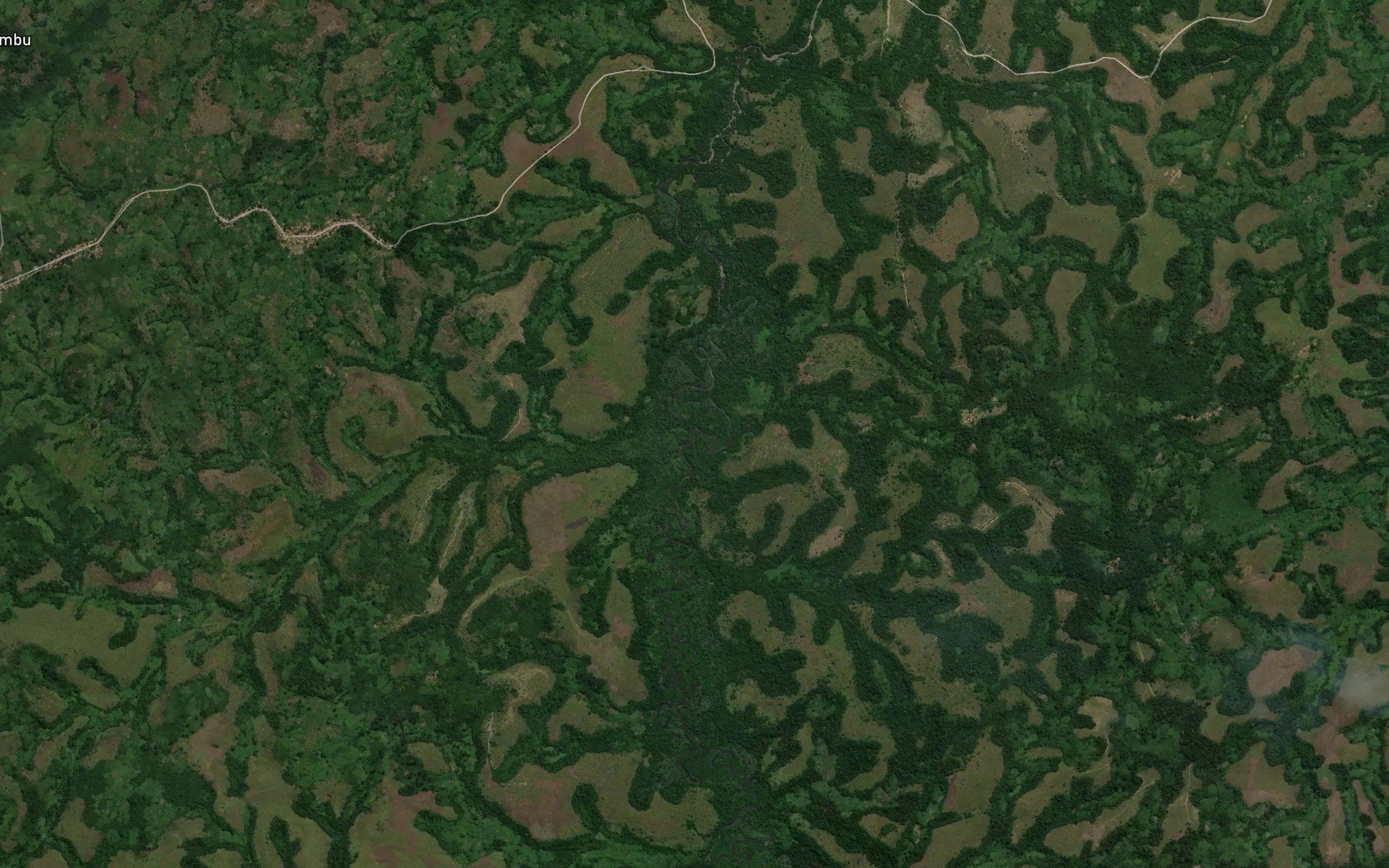 Buusi