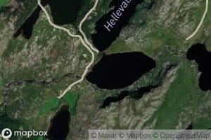 Nipetjorna