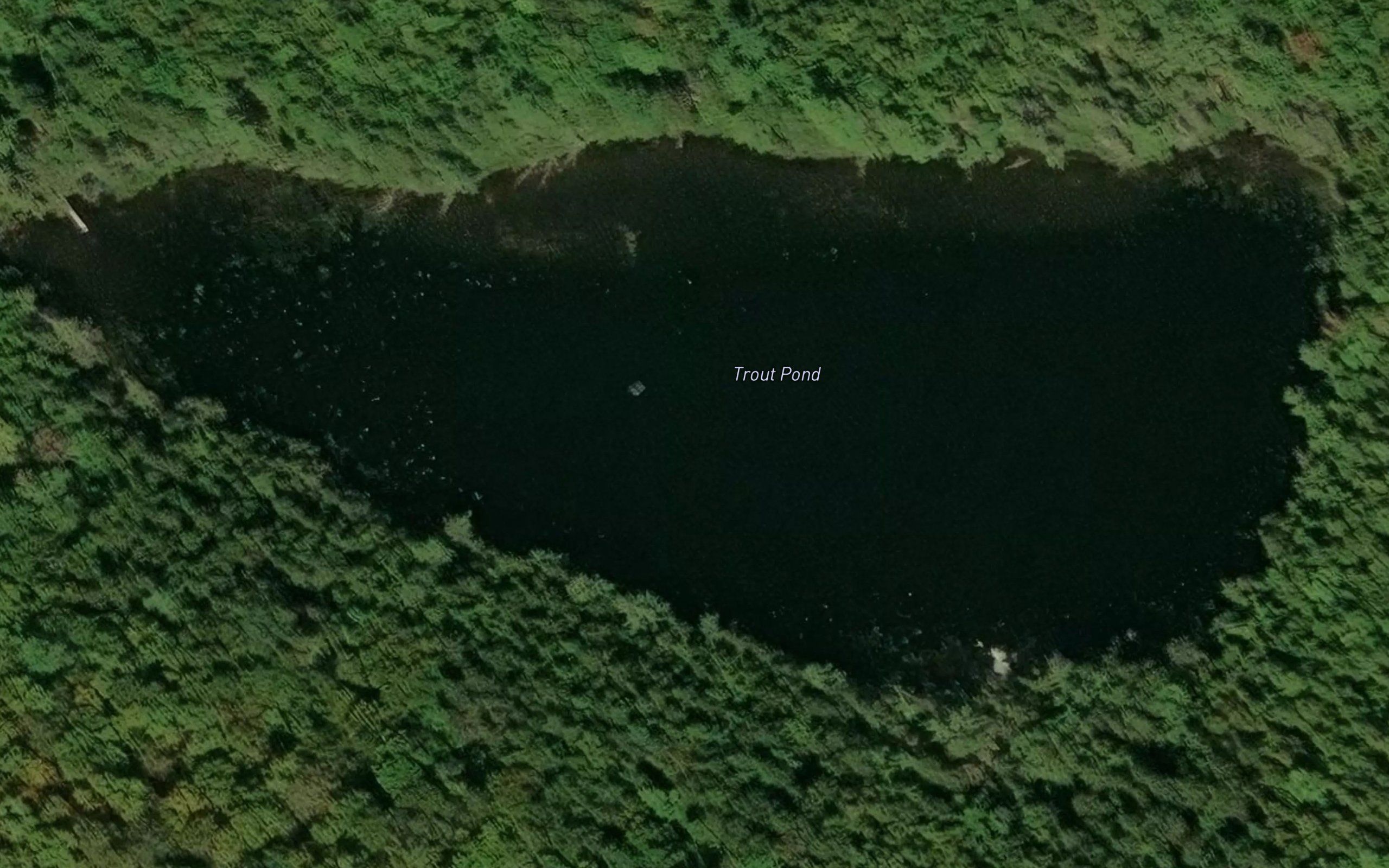 Trout Pond