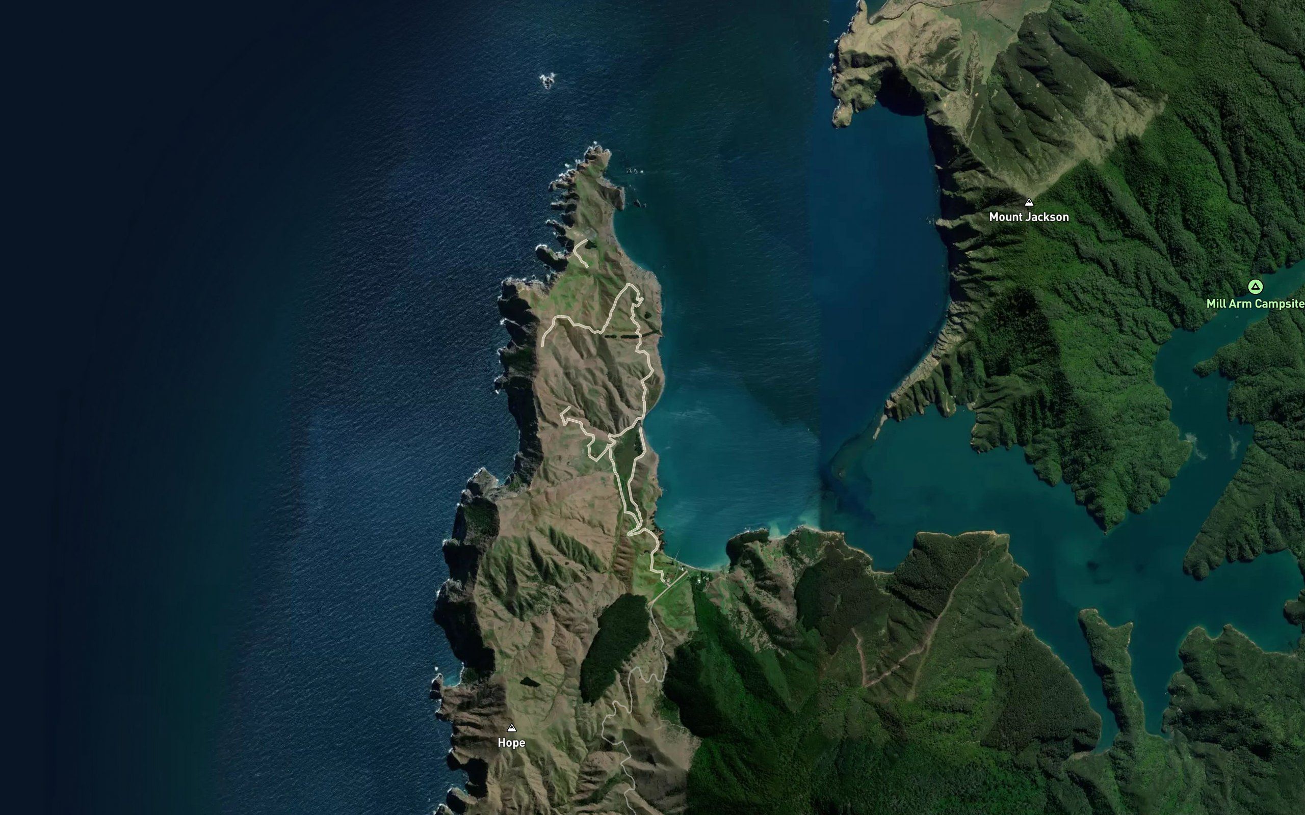Owhai Bay
