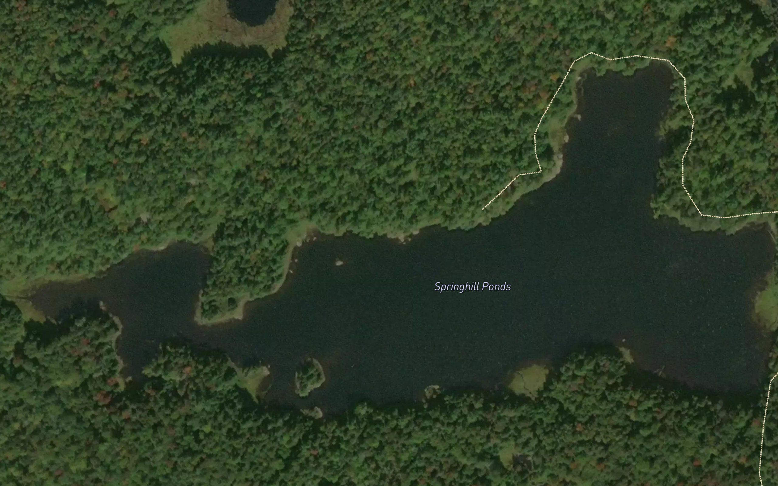 Springhill Ponds