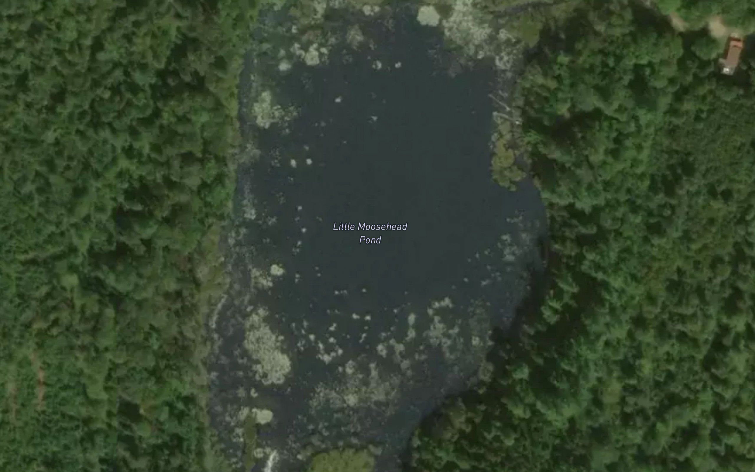 Little Moosehead Pond