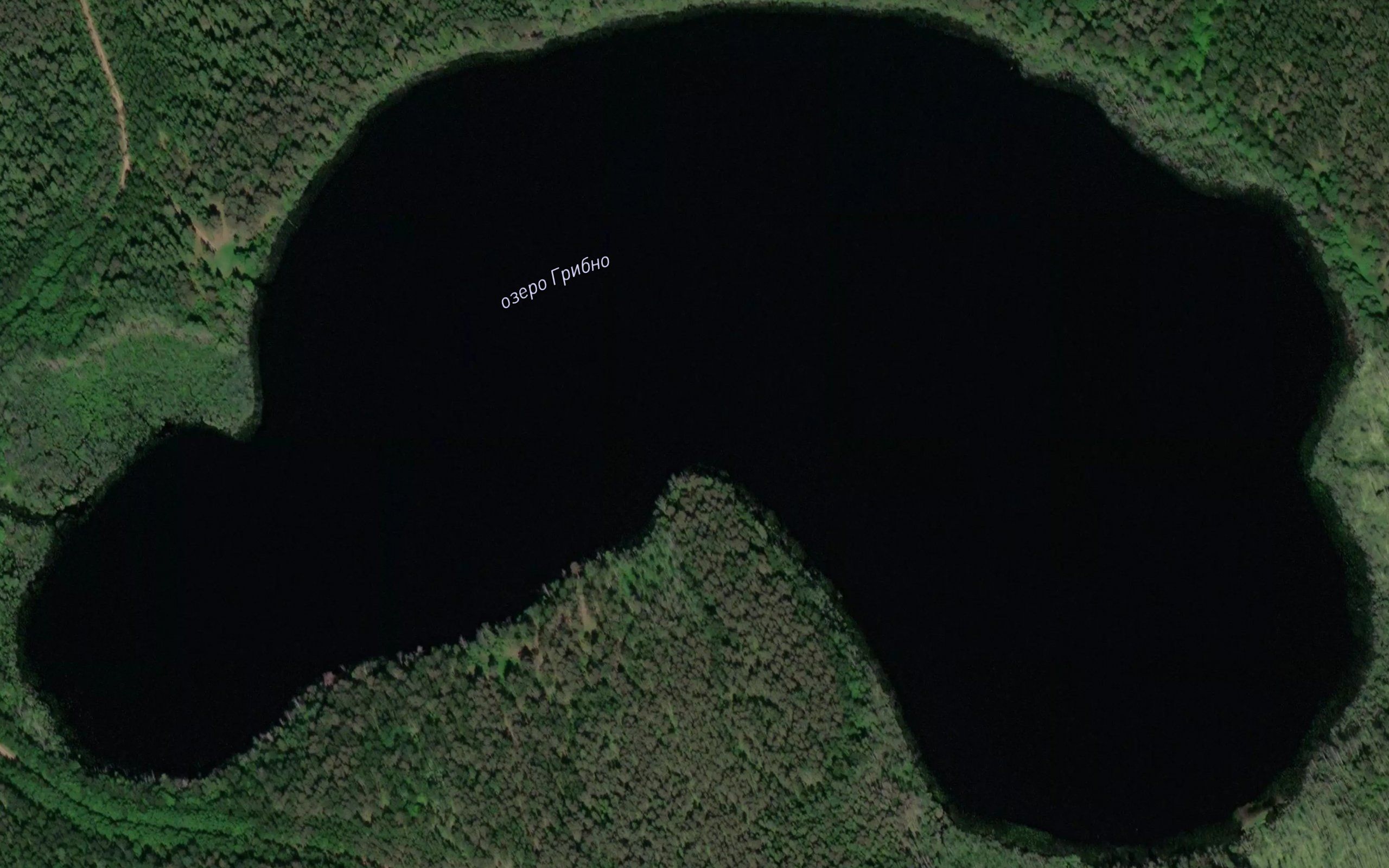 Ozero Gribno